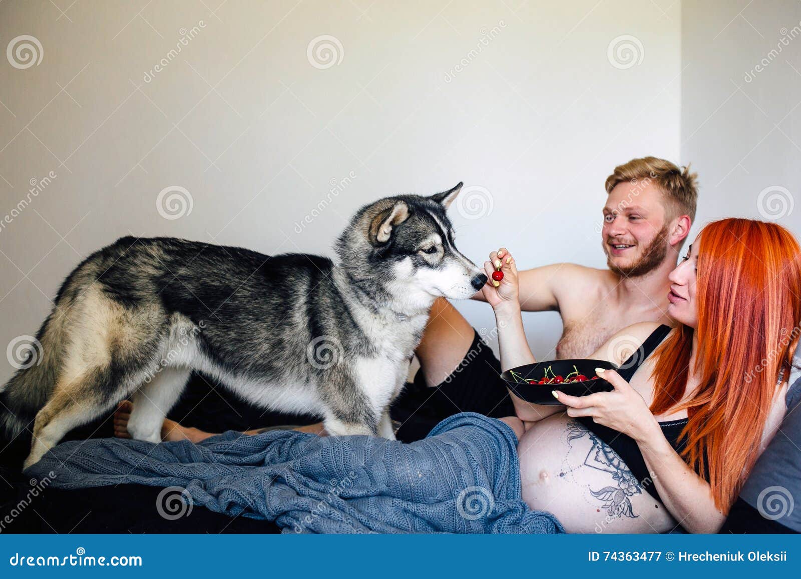 Donna Che Fa Sesso Con Cane Donna Incinta, Uomo E Cane Trovantesi Su Un Letto Immagine Stock