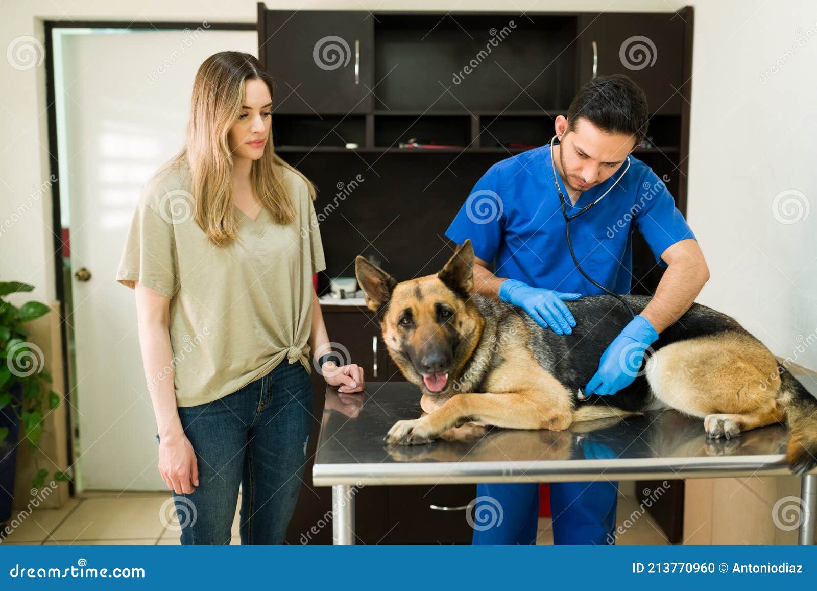 Qual cachorro é mais protetor com seu dono, o pastor alemão ou o