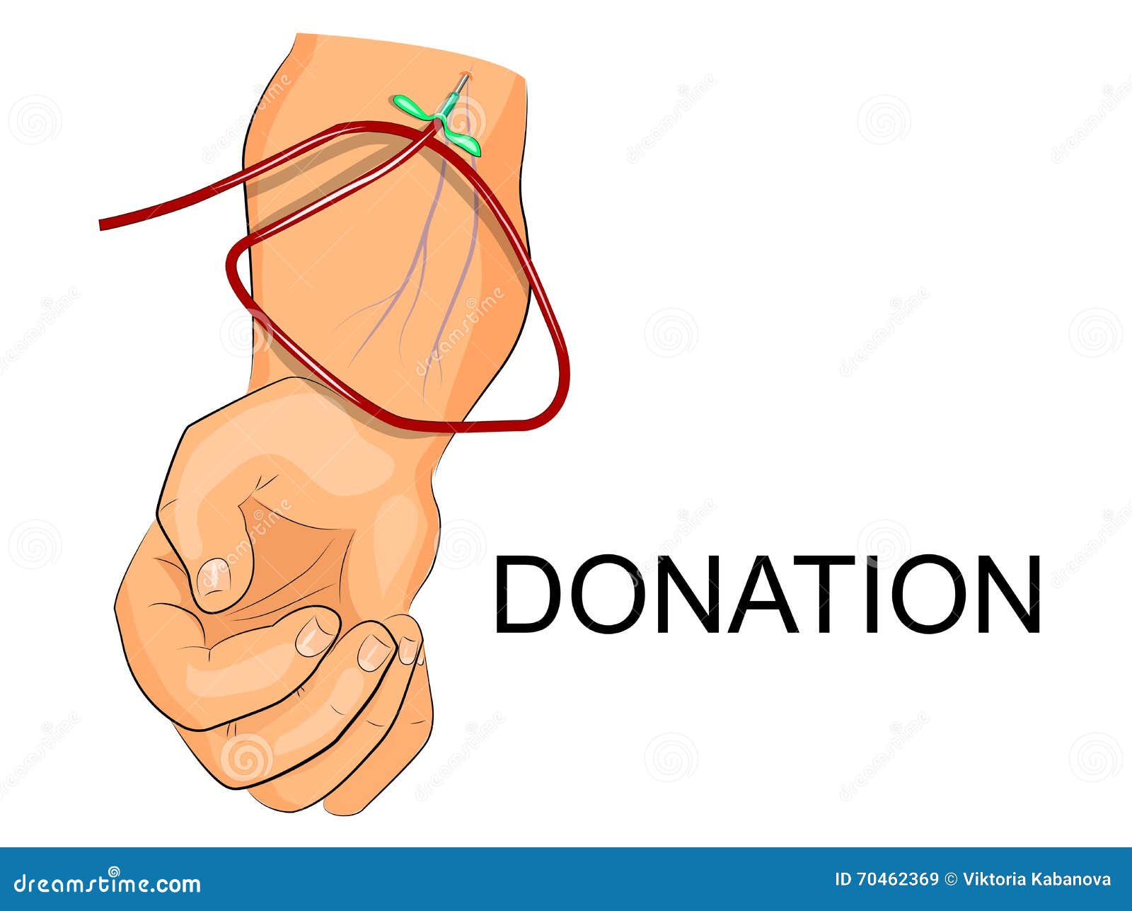 the donors arm with the intravenous system