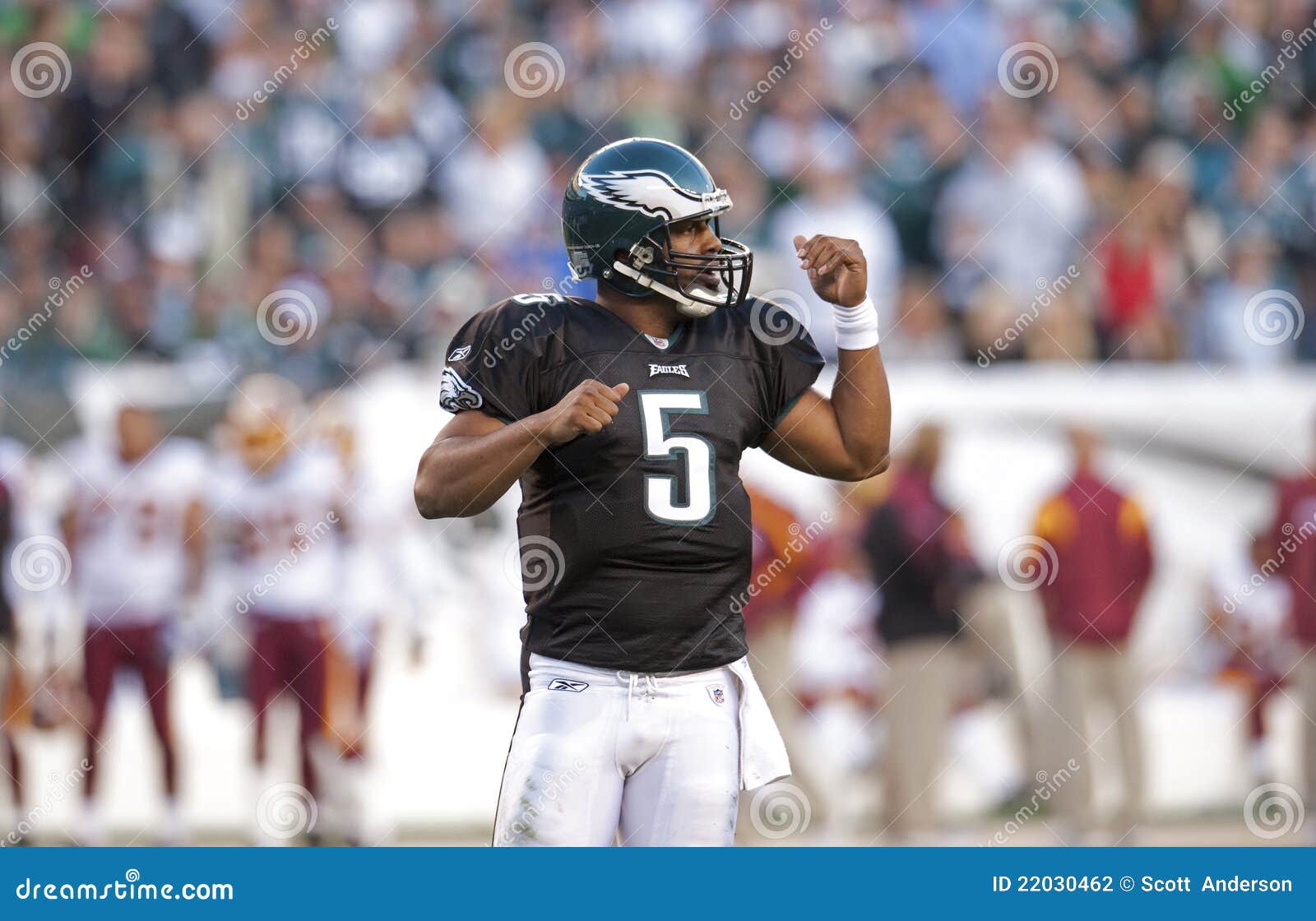 Donovan McNabb editorial photography. Image of quarterback - 22030462
