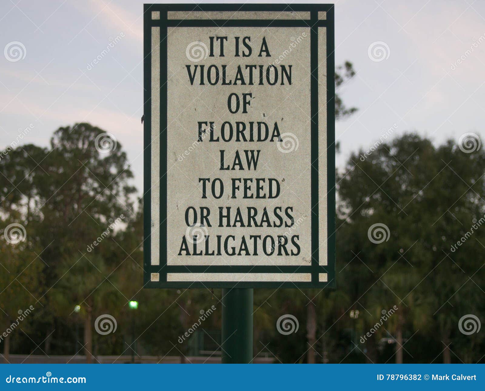 dont feed or harass the alligator sign