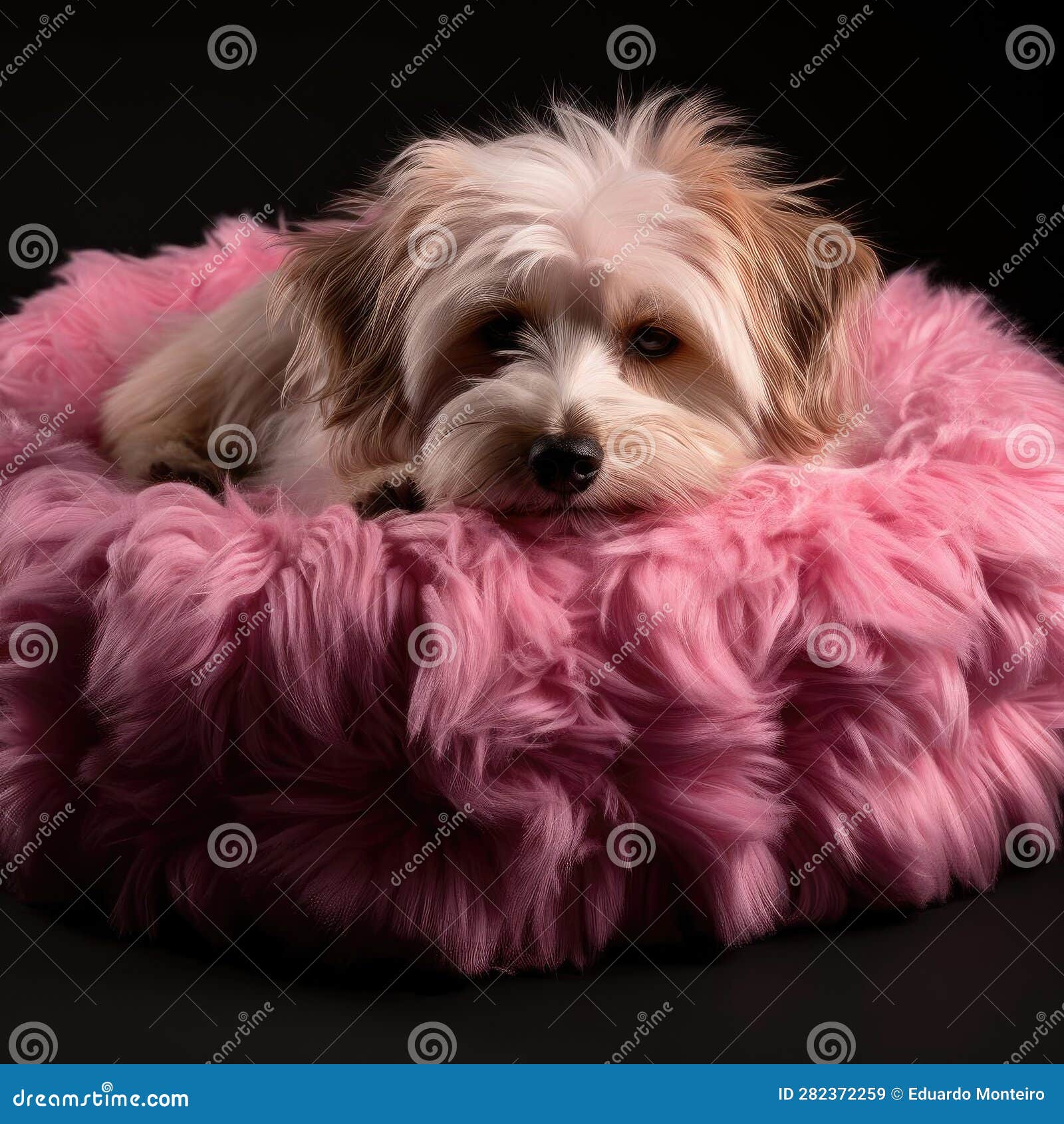 Donutshaped Plush Dog Bed for Small Dogs Stock Illustration