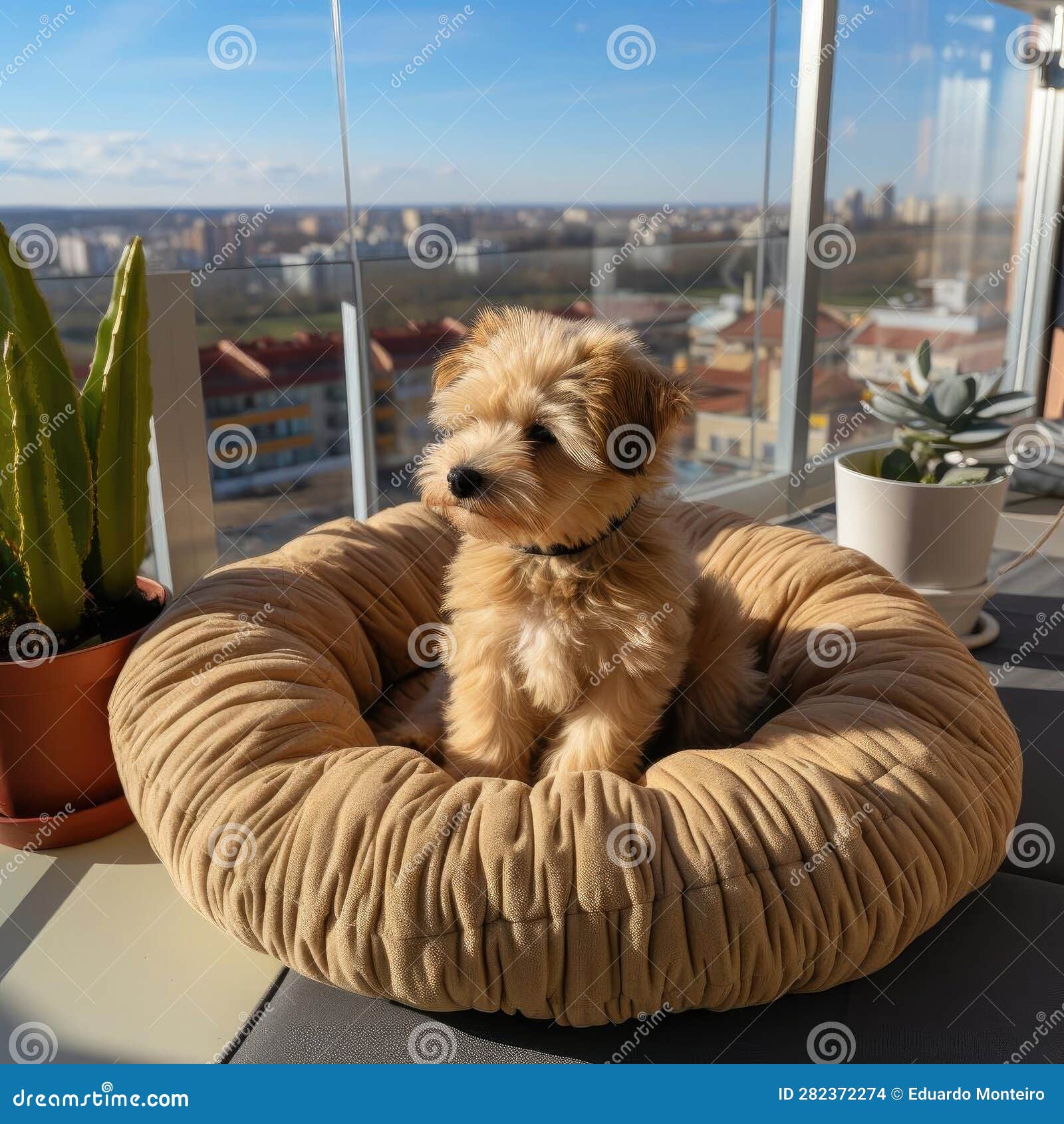 Donutshaped Plush Dog Bed for Small Dogs Stock Illustration