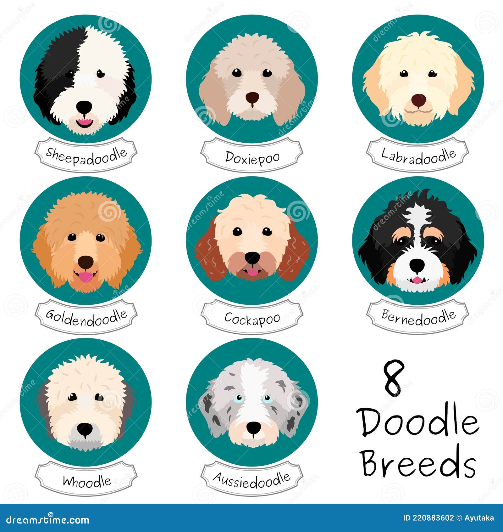 What Type Of Doodle Dogs Are There