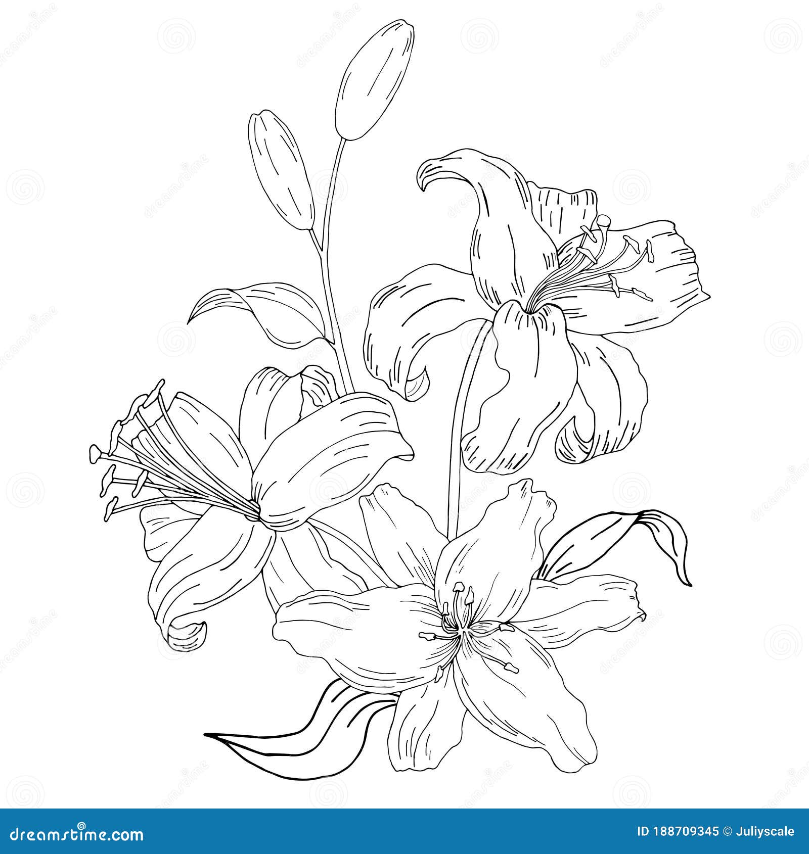 Doodle Flower. Painted Lilies. Heart. Vector Illustration Stock Vector ...