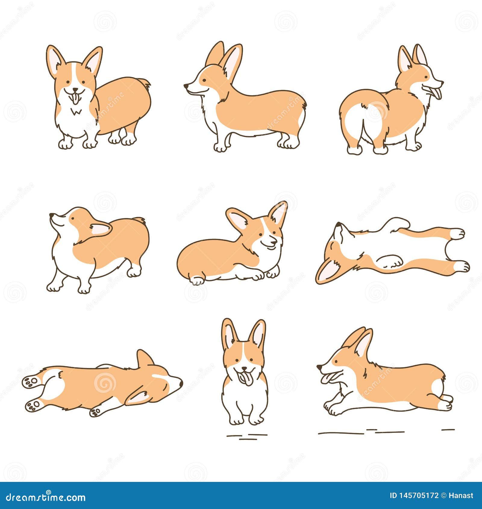 doodle corgi