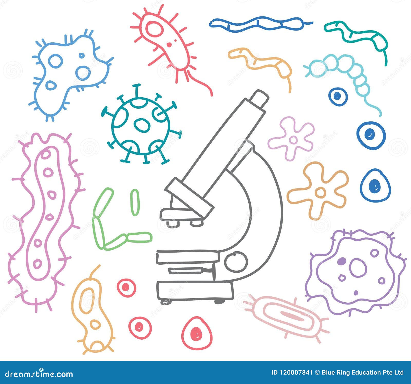 Doodles of Bacteria and Microscope Stock Vector - Illustration of