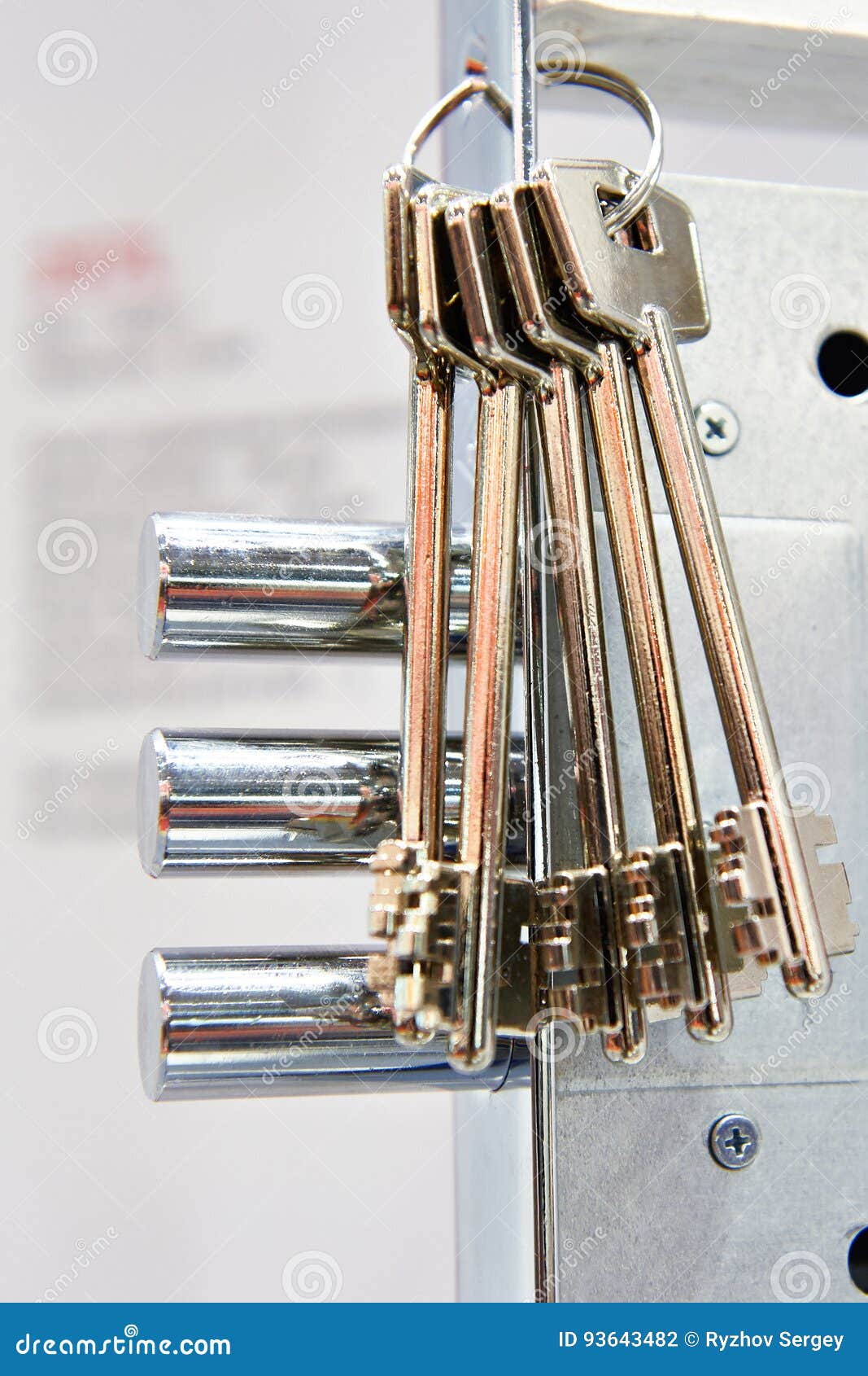 Door Chubb Detector Lock and Keys Stock Photo Image of metal, chubb
