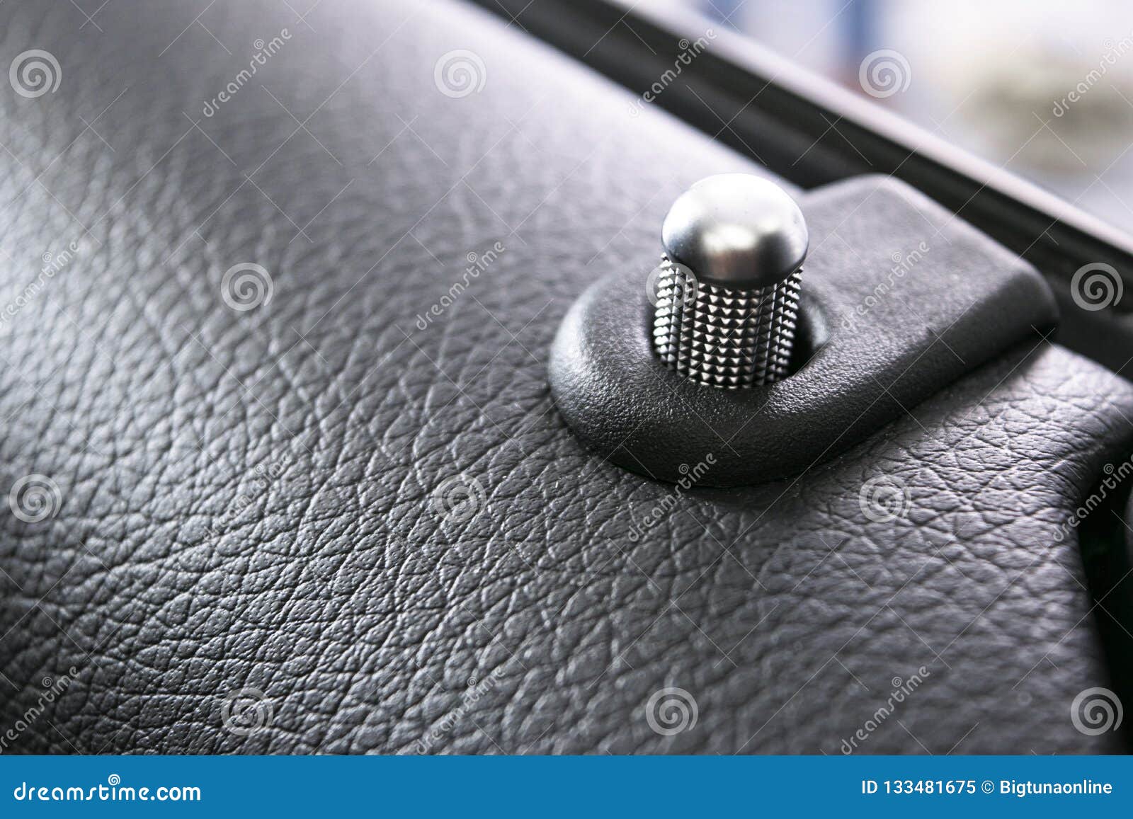 Door Handle With Lock Control Buttons Of A Luxury Passenger