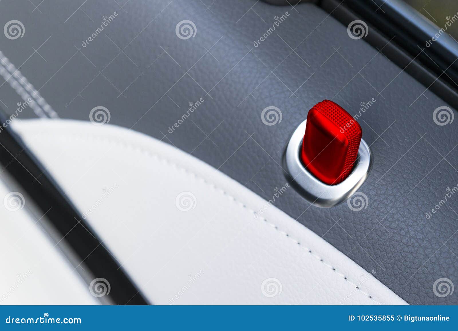 Door Handle With Red Lock Control Buttons Of A Luxury
