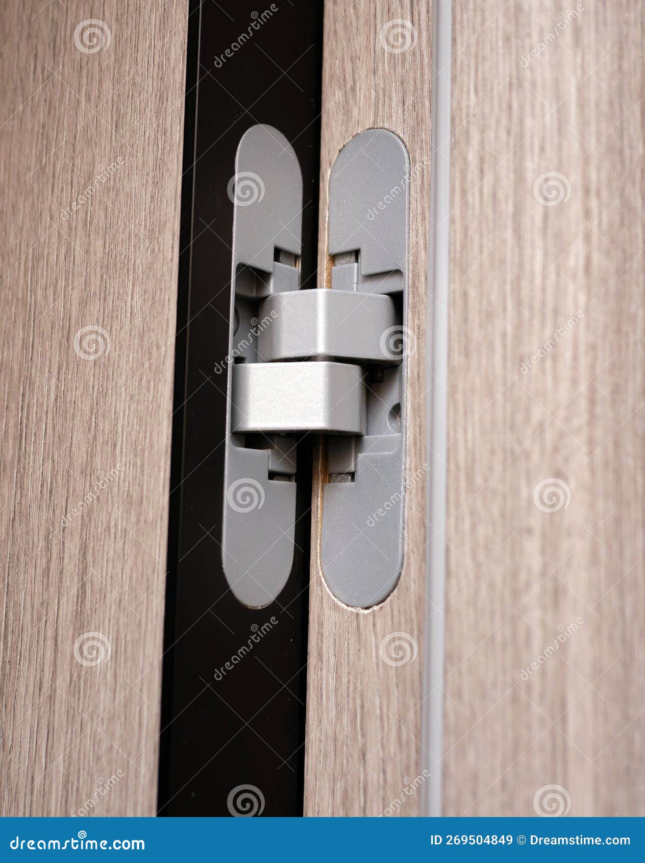 Door Hinge for Interior Doors, Closeup. Accessories for Doors bing