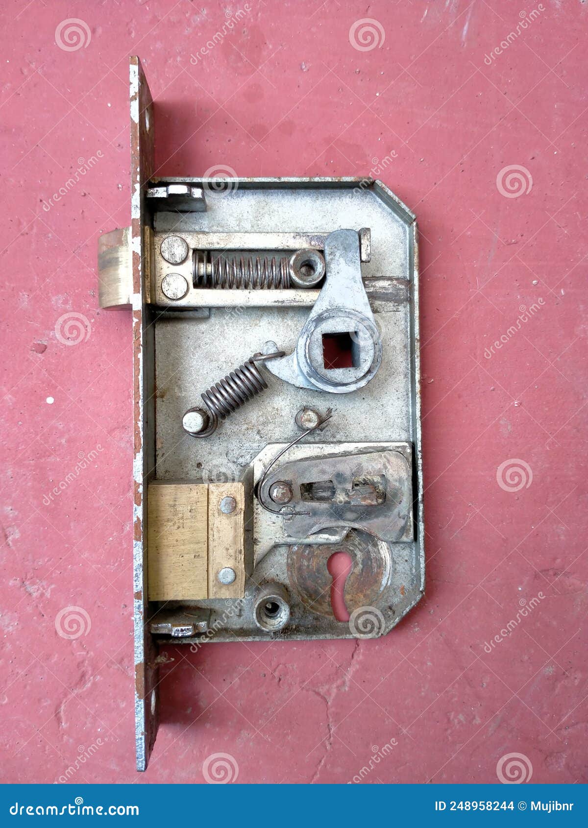 HOUSE :: ELEMENTS OF A HOUSE :: LOCK :: MORTISE LOCK image