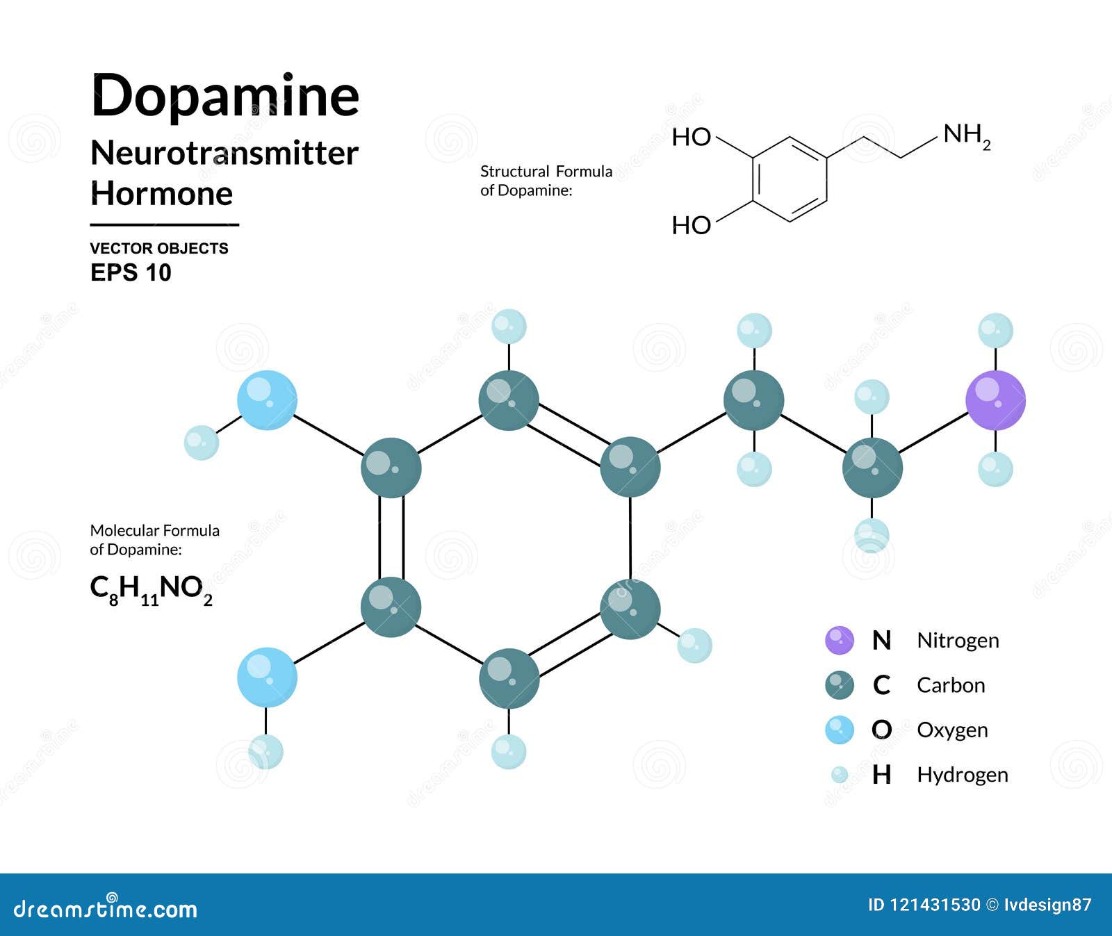 Dopamine. Structural Chemical Formula and Model of Molecule Stock