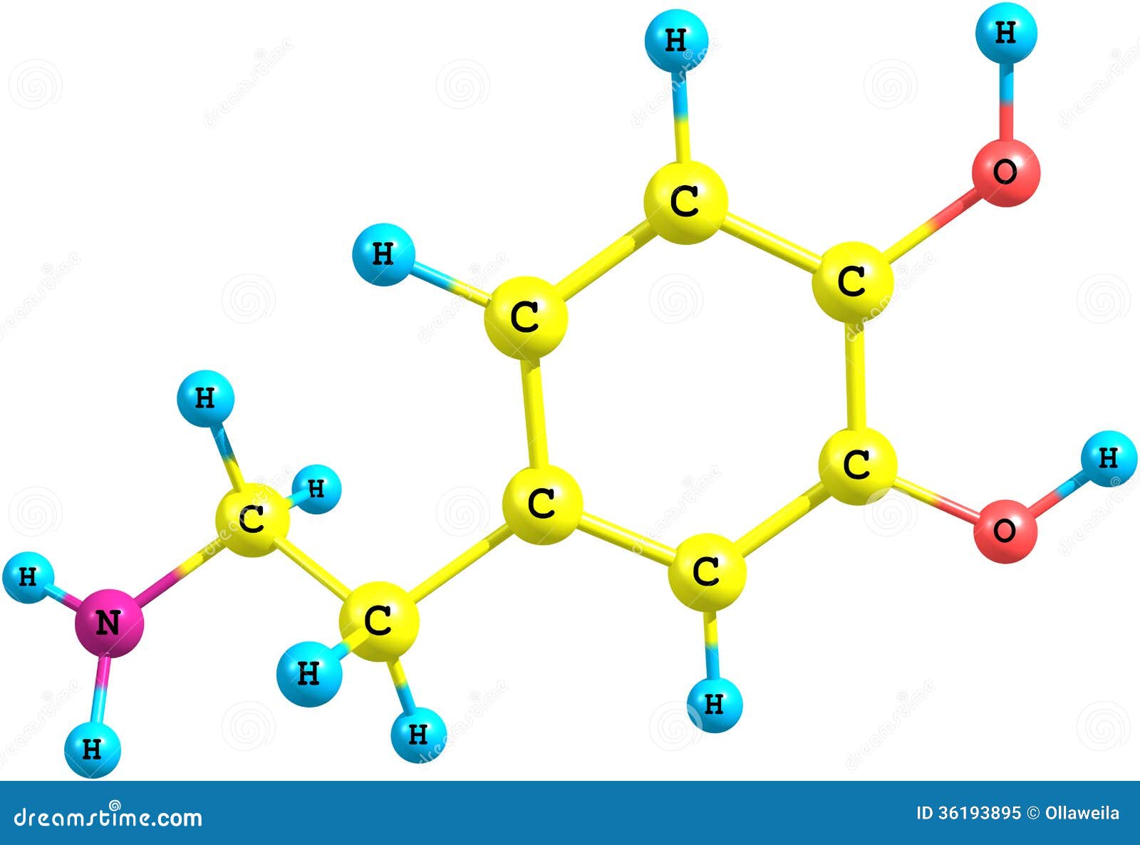 Image result for dopamine model