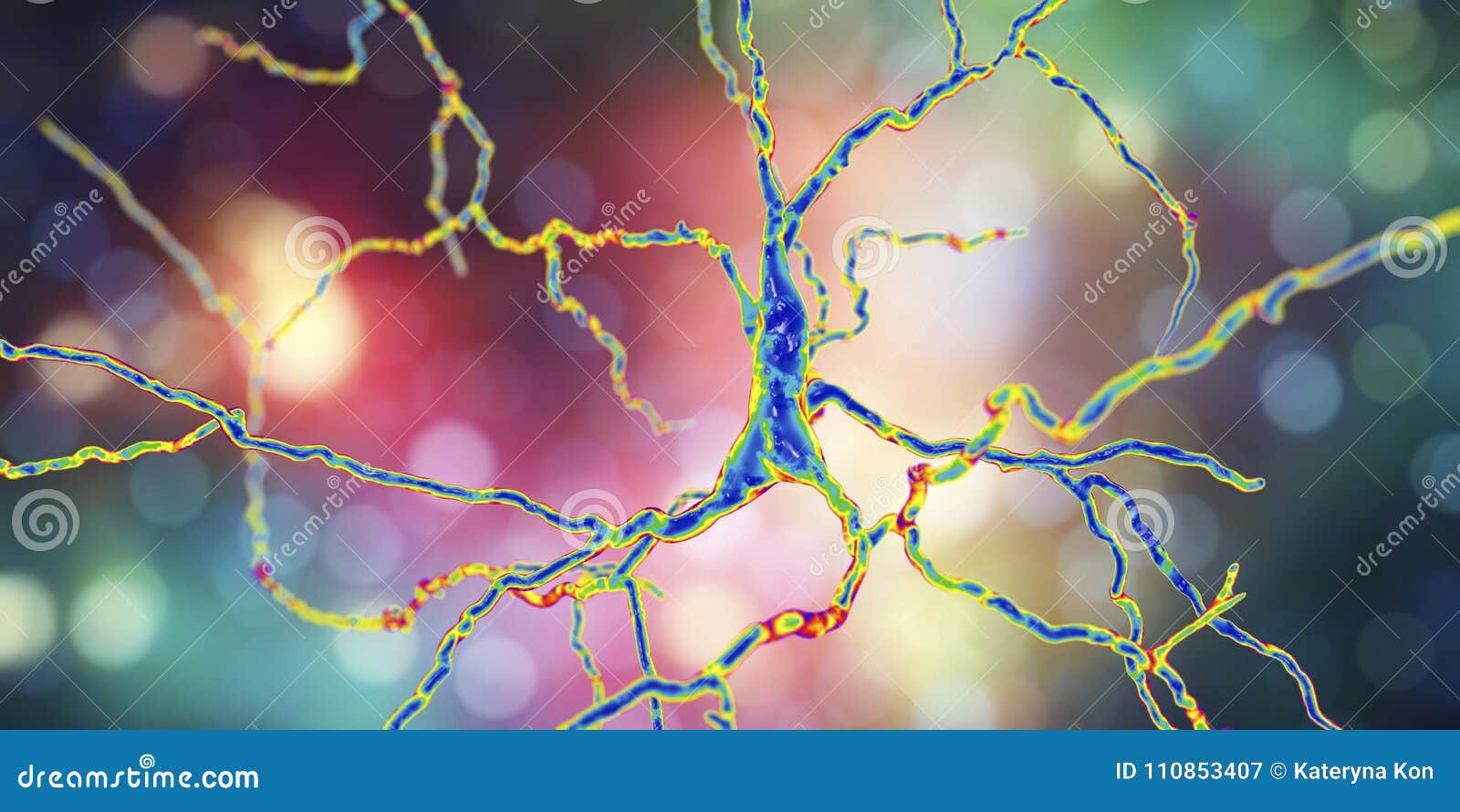 Dopaminergic Neuron, Computer Reconstruction Stock Illustration ...