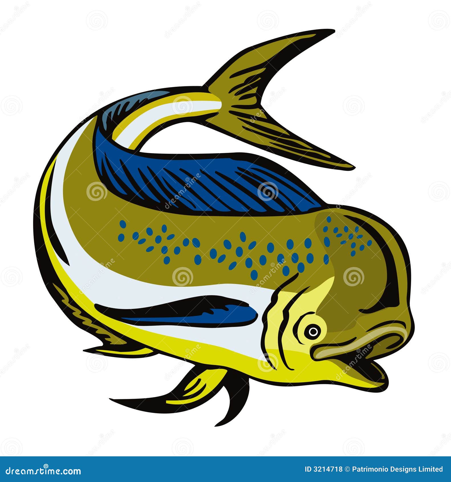 dorado dolphin fish