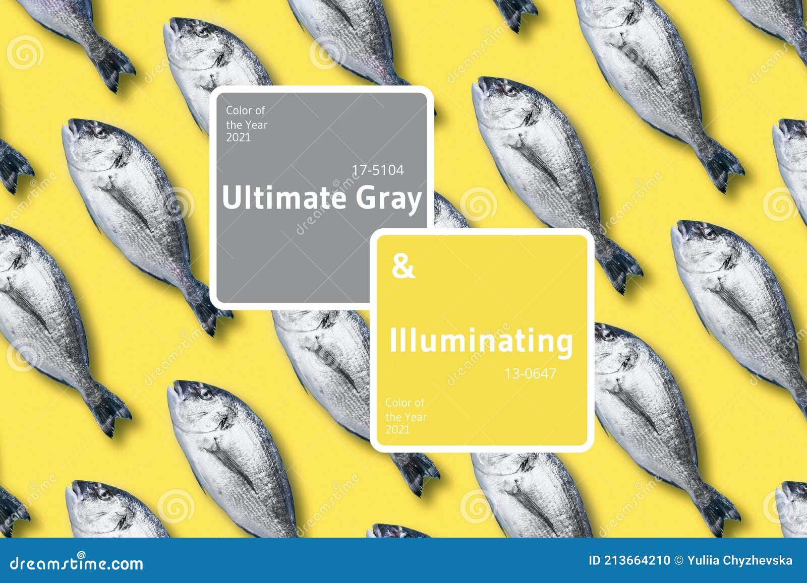 dorado fish pattern, food concept. demonstrating trendy color of the year 2021. illuminating yellow and ultimate gray