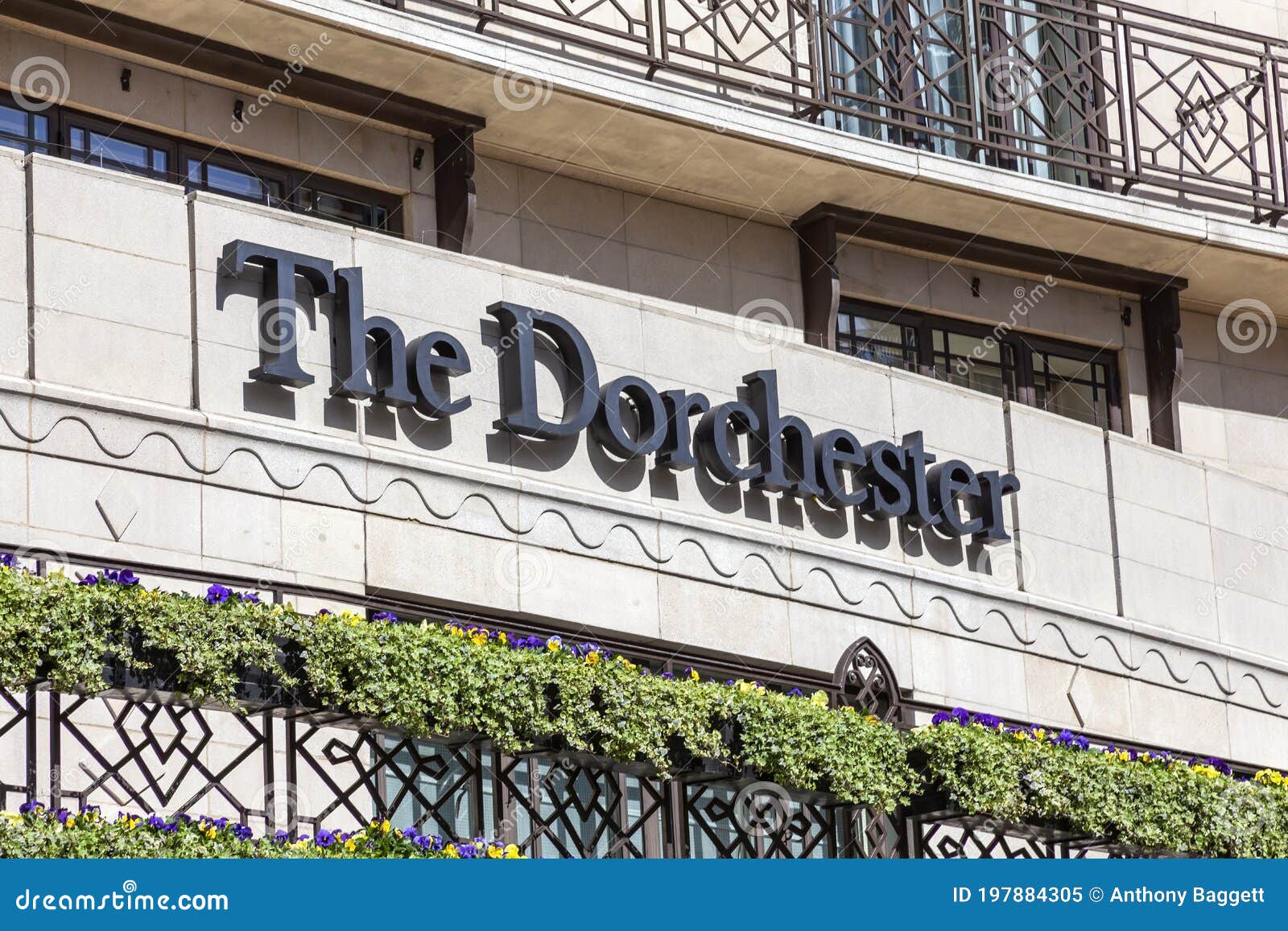The Dorchester – for breakfast - restaurant review - Mostly Food and  Cocktails