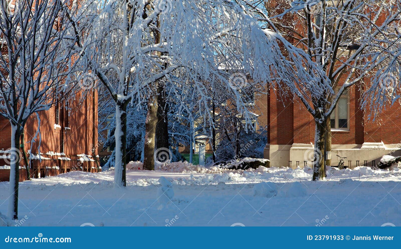 Dorm Buildings at Harvard University in Winter Stock Image Image of
