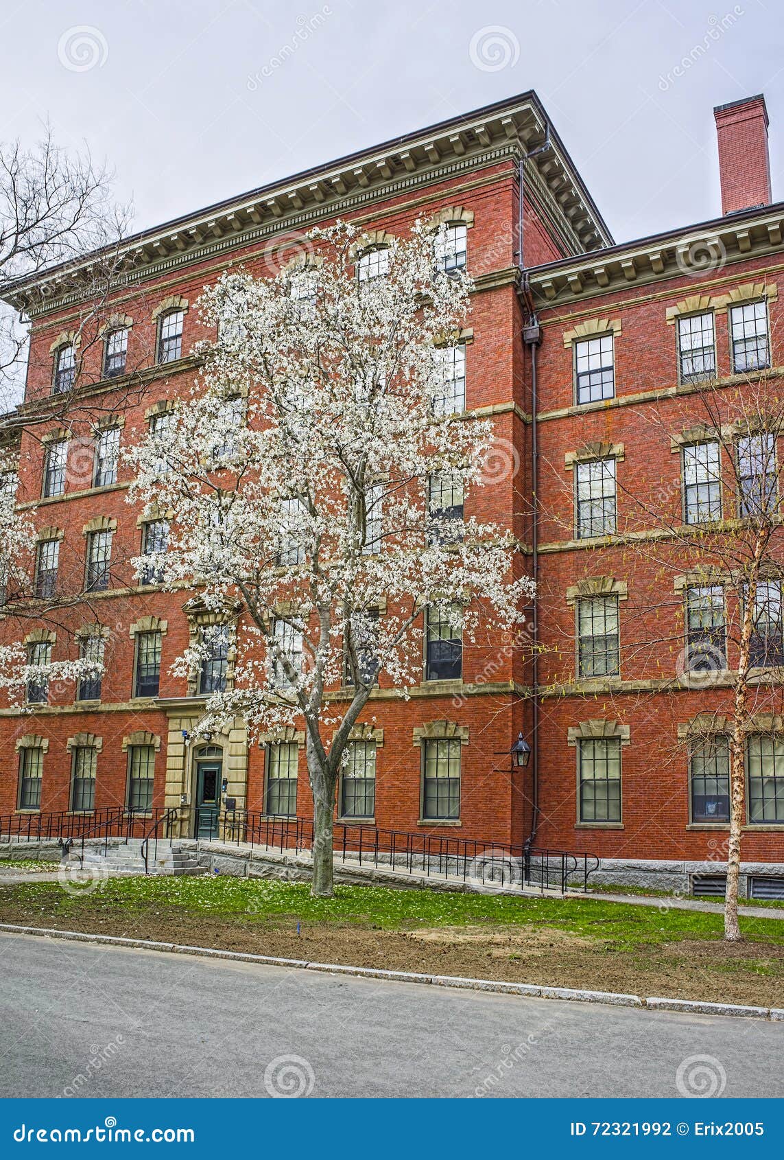 Dormitório Da Jarda De Harvard Na Universidade De Harvard Fotografia  Editorial - Imagem de aprendizagem, curso: 72321992, image size:1143x1690