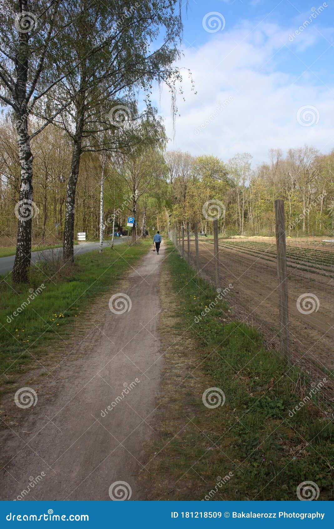 Фото В Печатном Виде