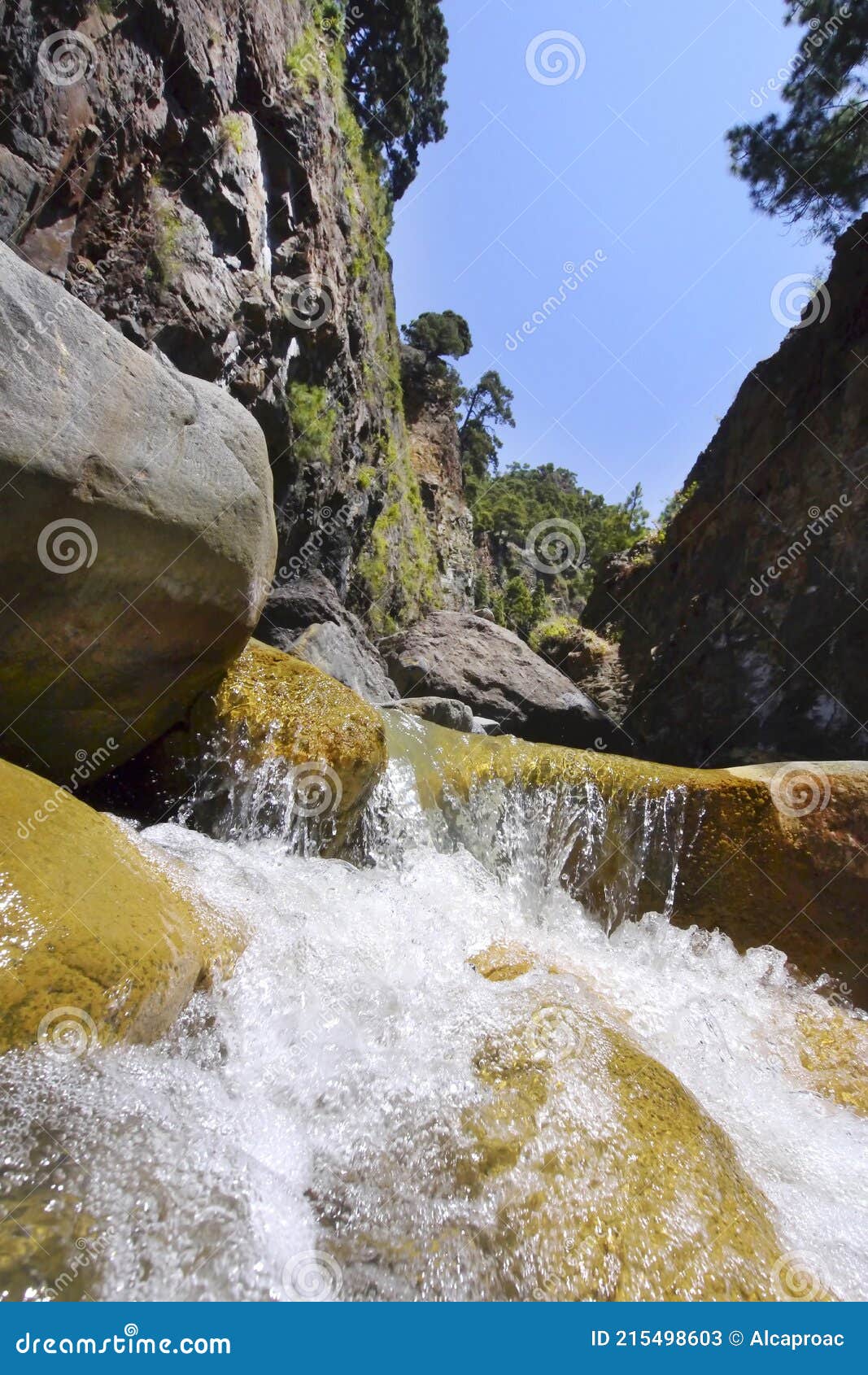 barranco de las angustias, caldera de taburiente national park, canary islands, spain