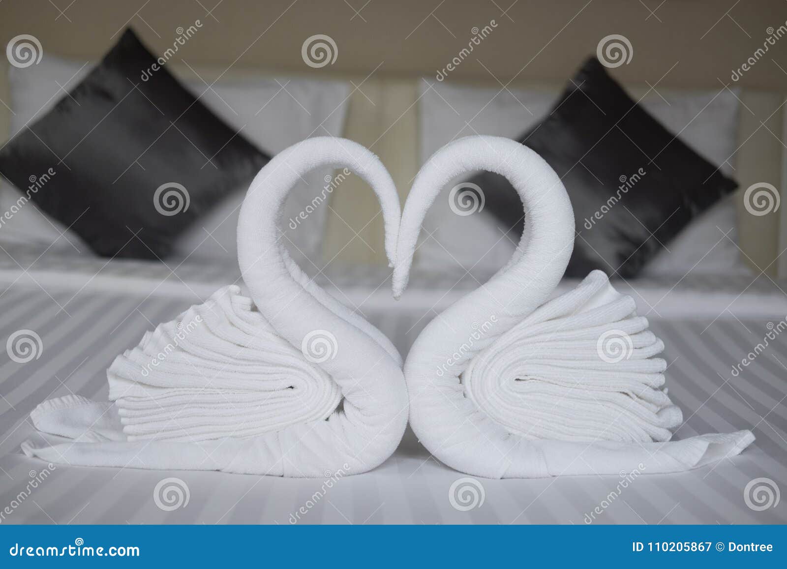 frotis Calígrafo Experto Dos Cisnes Hechos De Las Toallas Que Forman Forma Del Corazón Imagen de  archivo - Imagen de arte, belleza: 110205867
