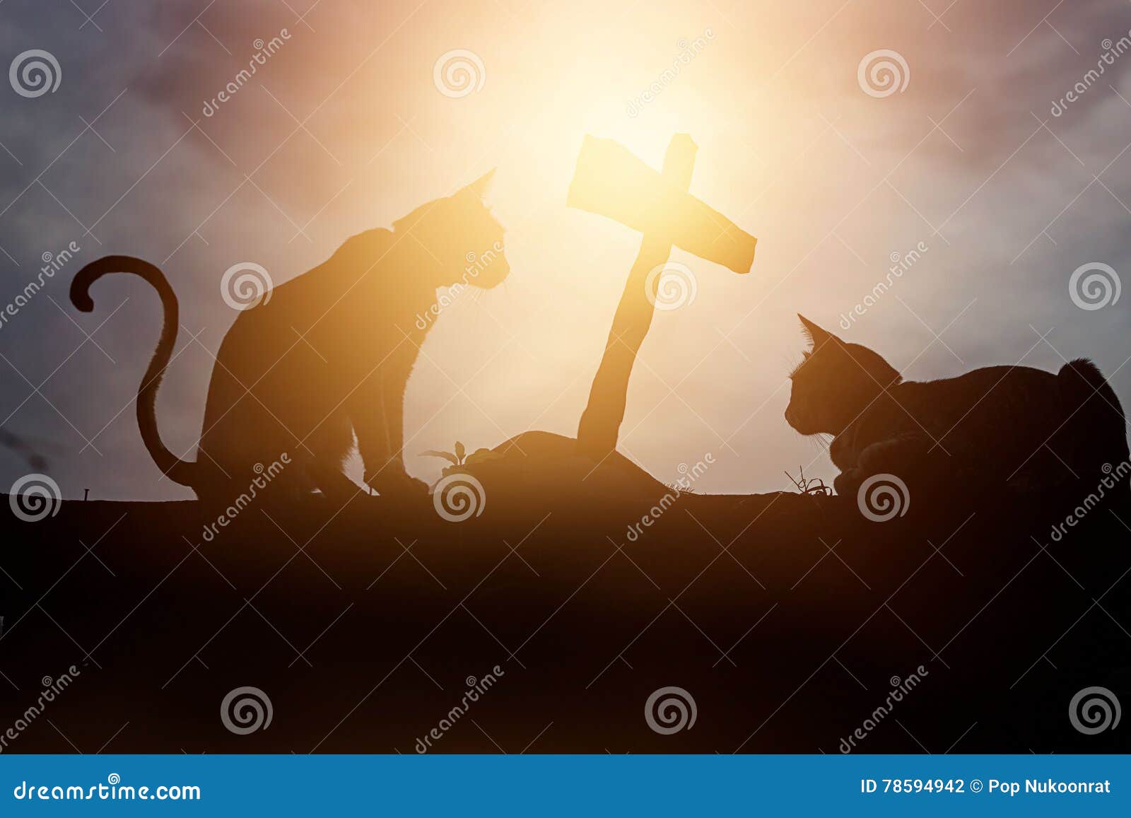 Tumba de cruz para el animal gato silueta