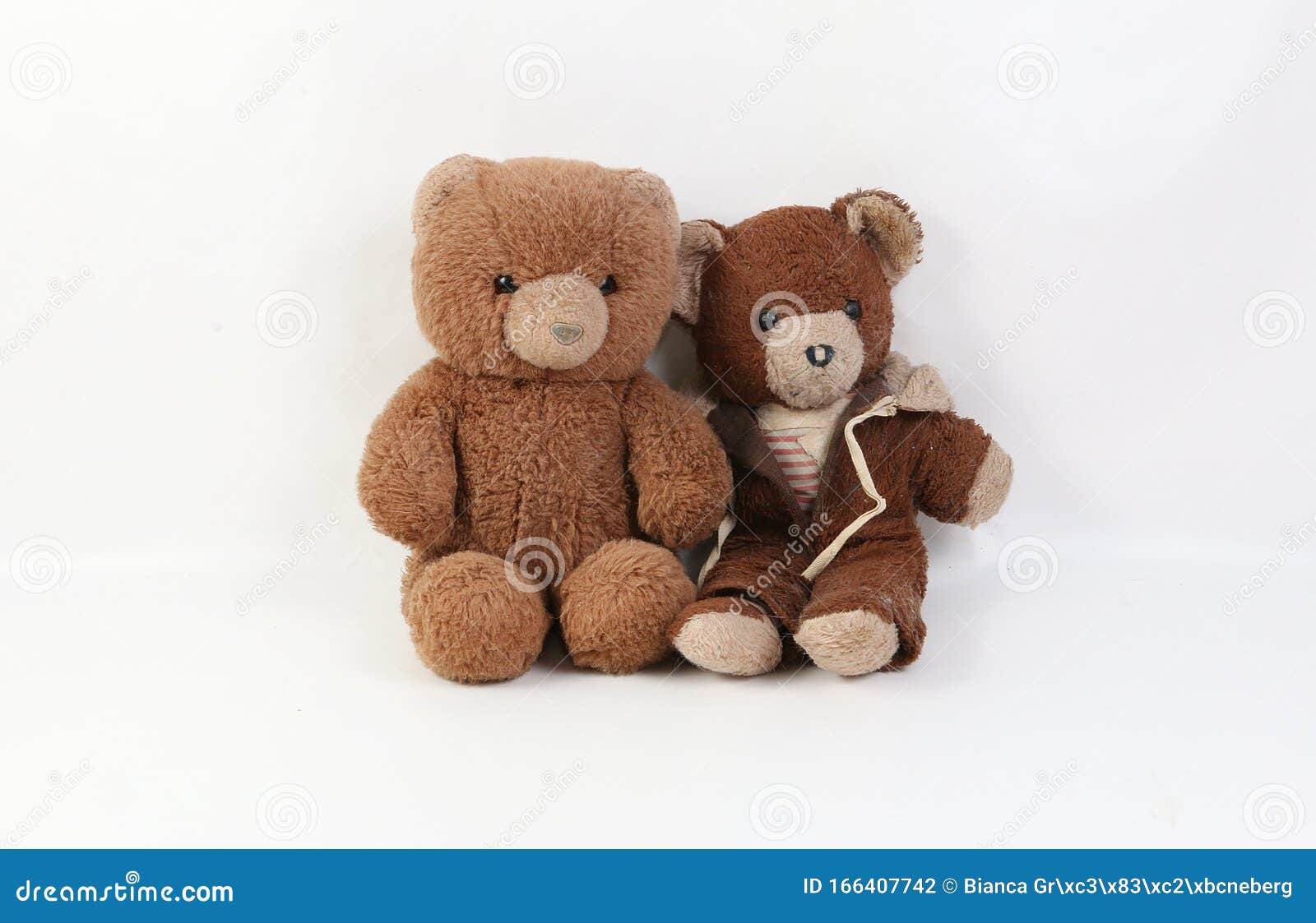Dos Hermosos Osos Osos Ositos De Peluche Están Sentados Juntos En Un Estudio Blanco Foto de archivo - Imagen de ositos, osos: 166407742