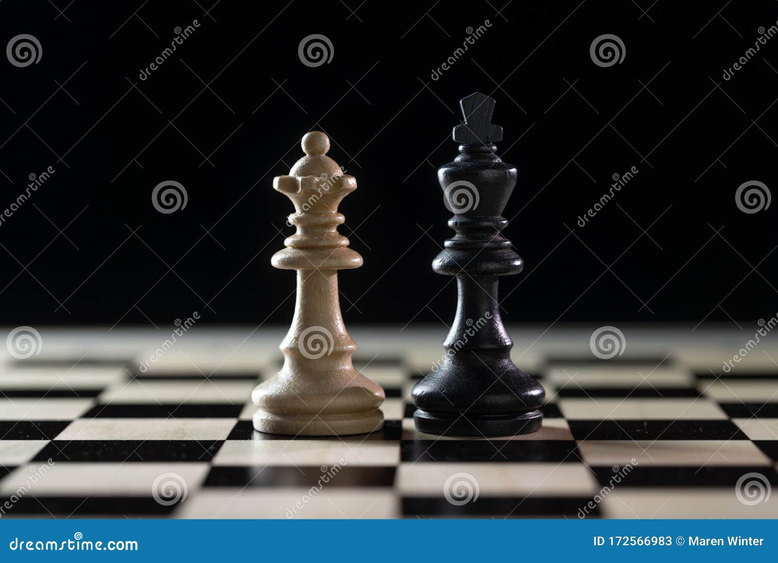 Juego de 2 piezas de ajedrez, peones de ajedrez, juego de ajedrez para  juego de mesa de ajedrez, solo piezas y sin tablero, blanco y negro