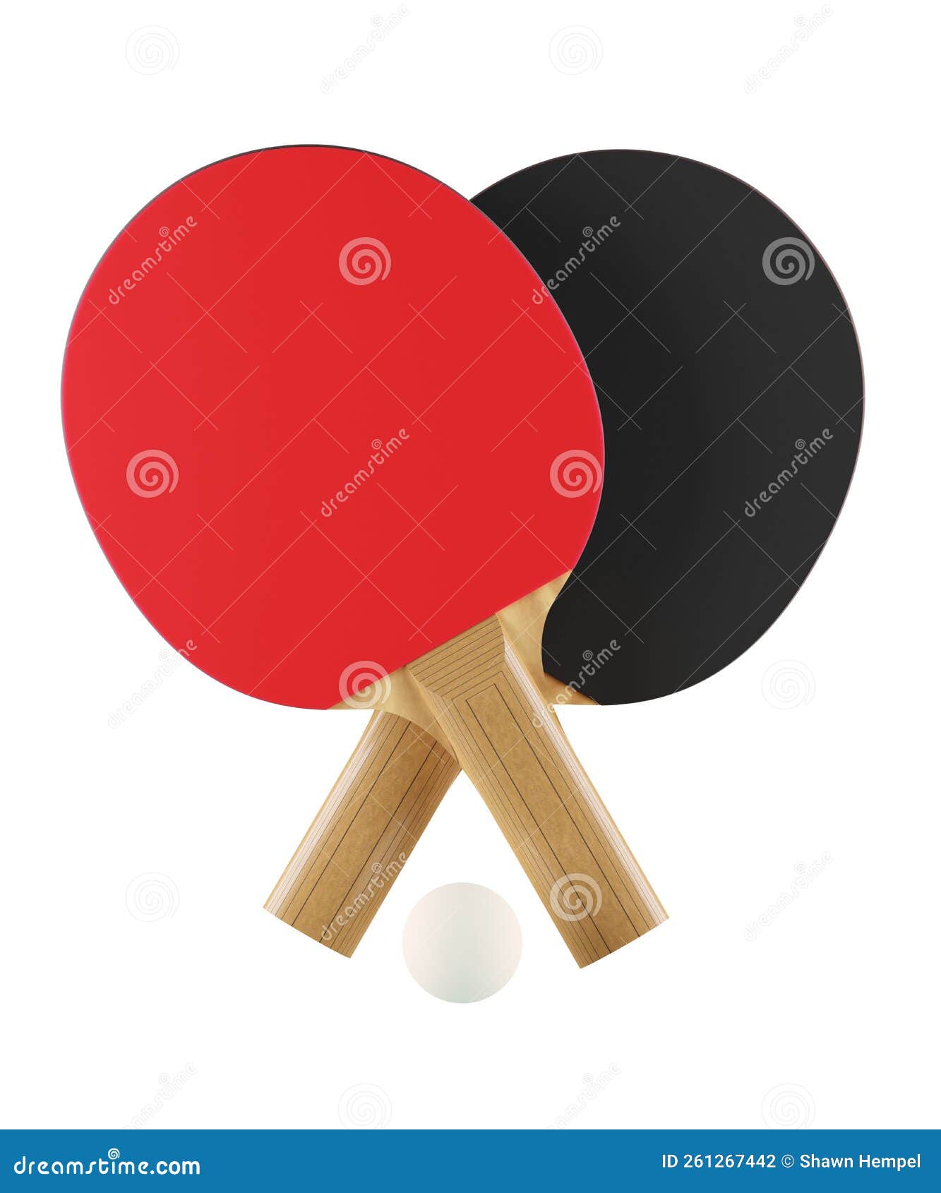 Dos Ping-pong Rojos Y Negros O Palas De Ping-pong O Raquetas Con Una Pelota  De Tenis De Mesa Blanca Cruzada Flotando Aislado En Bl Stock de ilustración  - Ilustración de modelo, rojo