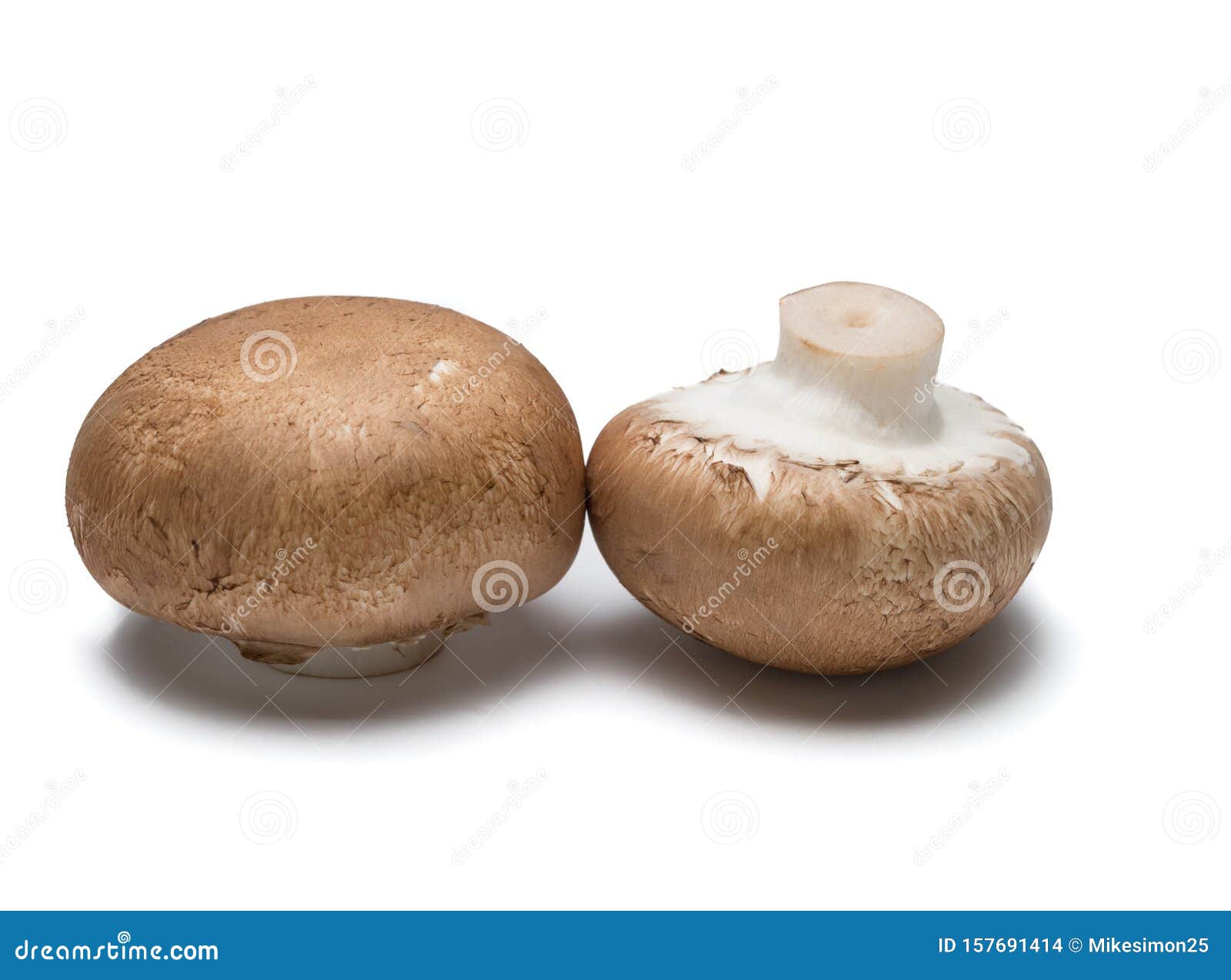 Dos Setas Portobello Aisladas En Blanco Foto de archivo Imagen de