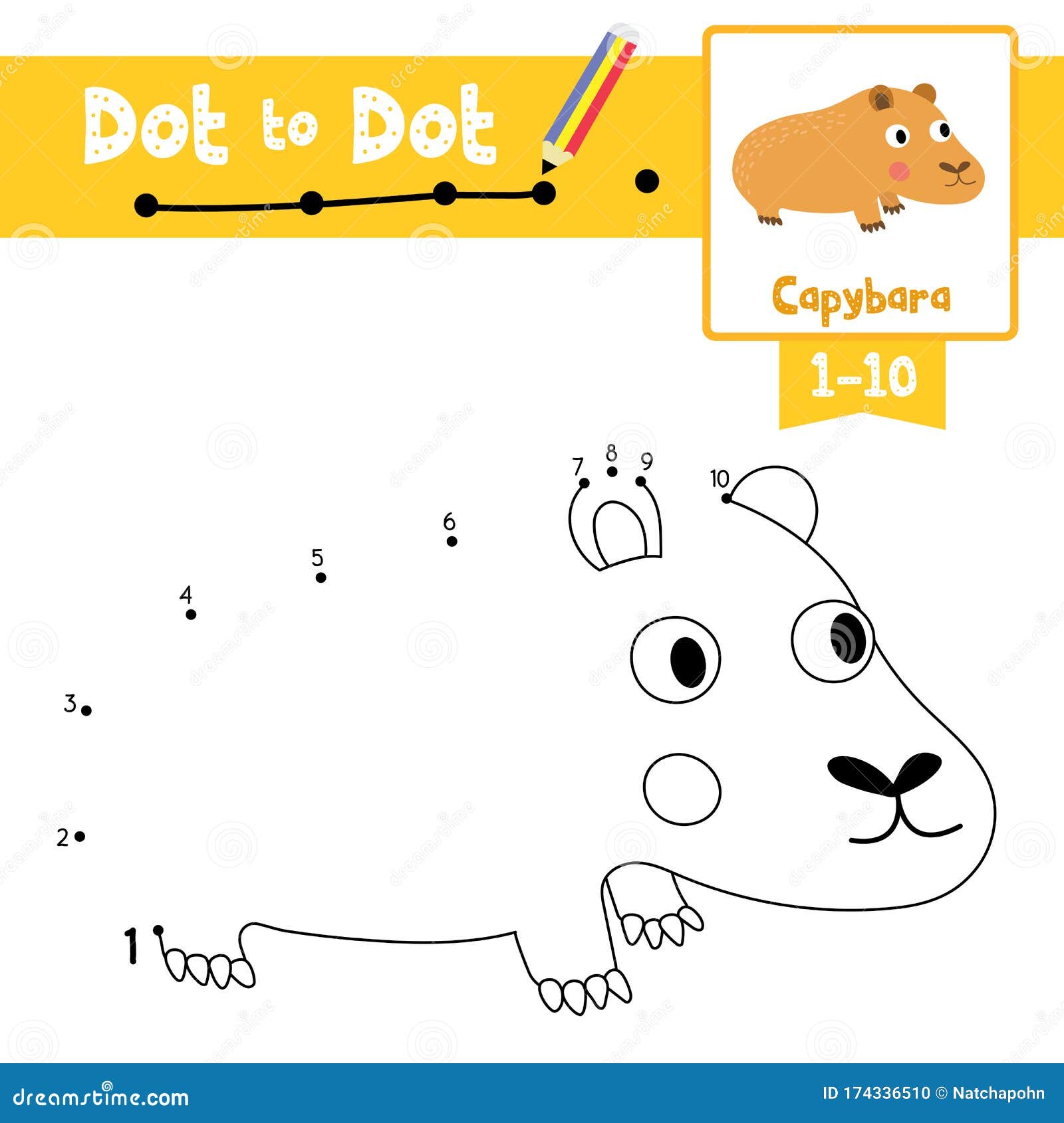 Download Dot To Dot Educational Game And Coloring Book Capybara Animal Cartoon Character Vector Illustration Stock Vector Illustration Of Baby Color 174336510