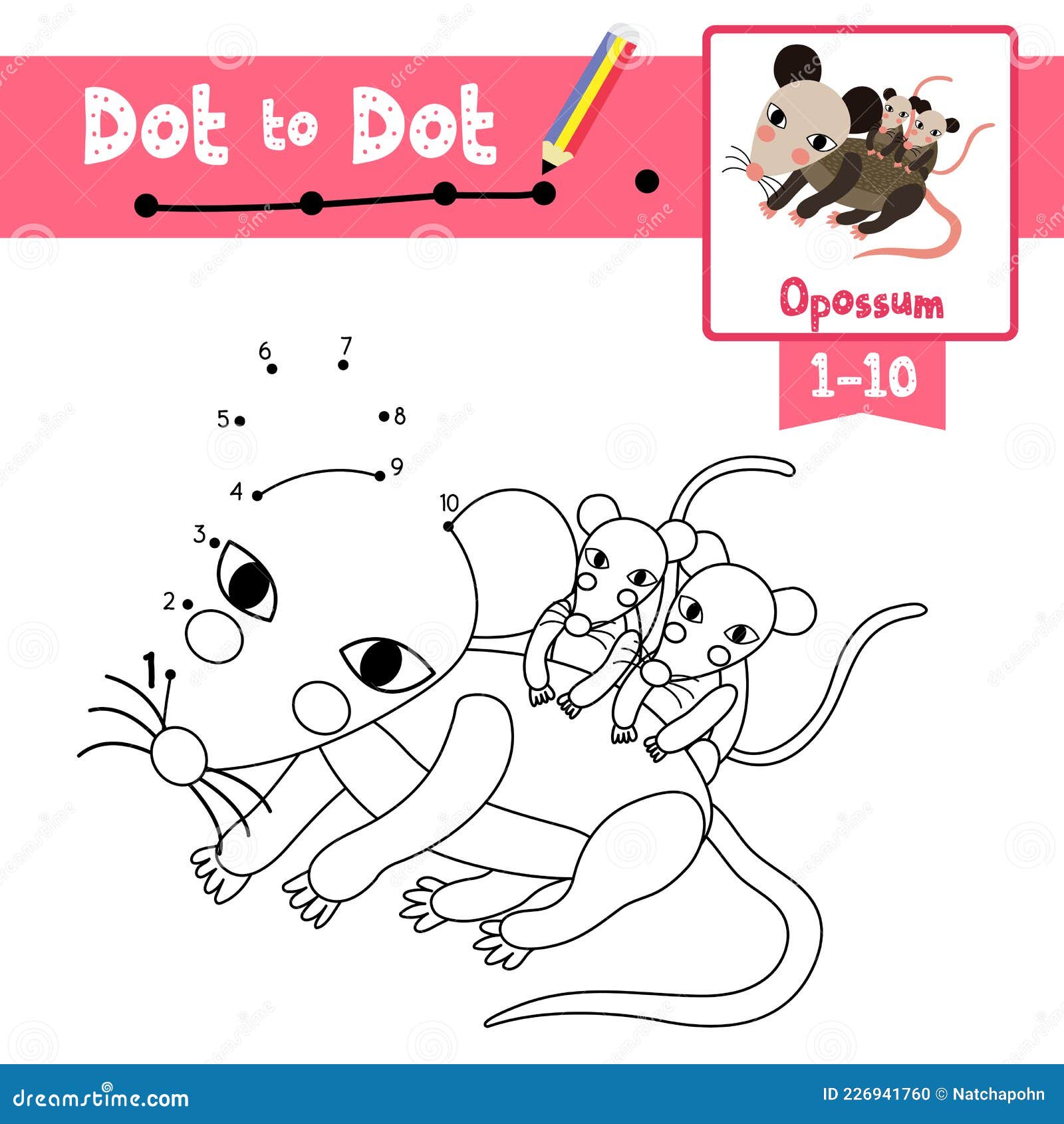 Dot To Dot Educational Game and Coloring Book Mother and Baby Opossum Animal  Cartoon Character Vector Illustration Stock Vector - Illustration of  homework, cartoon: 226941760