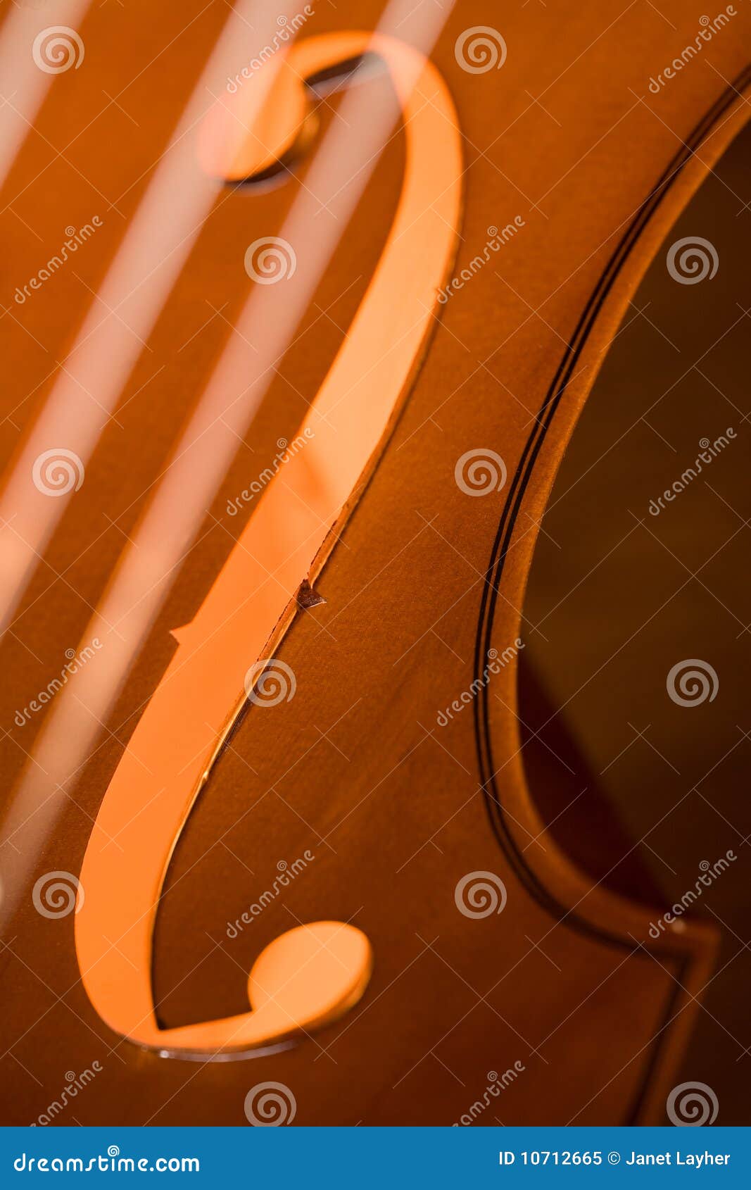 Double Bass stock image. Image of bass, symphony, woodenly 10712665