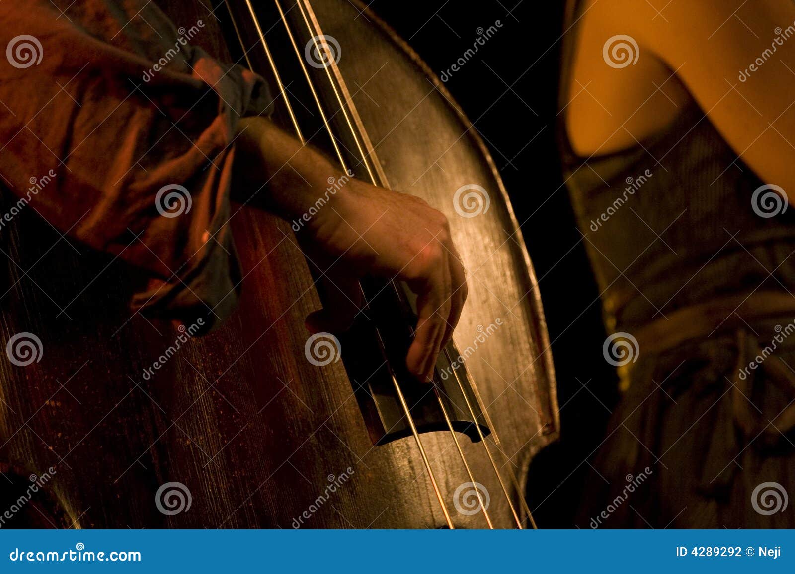 DoubleBass Neck Block Stock Image 1860259