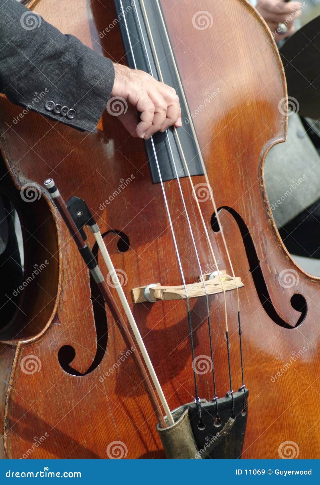 DoubleBass Neck Block Stock Image 1860259