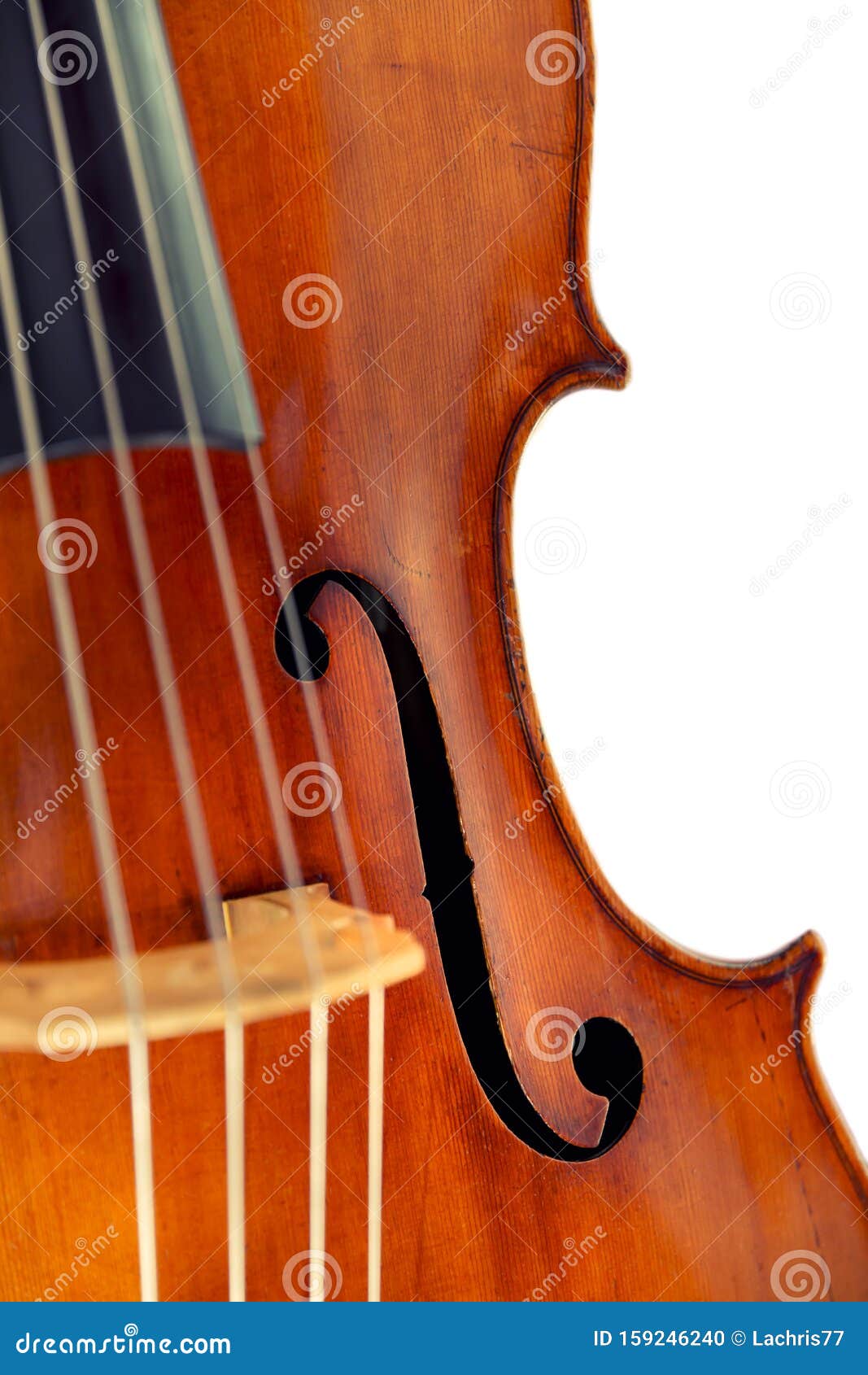 Double bass stock photo. Image of detail, stringed, bassist 159246240