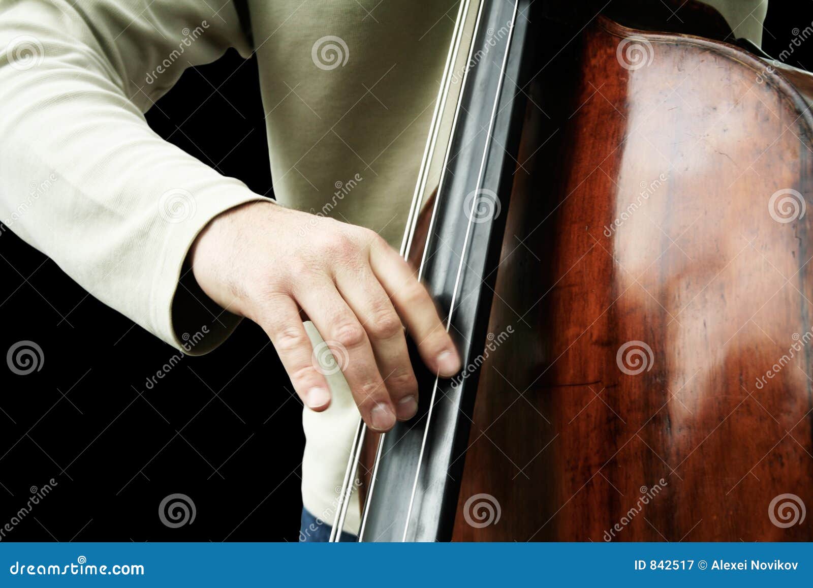 DoubleBass Neck Block Stock Image 1860259