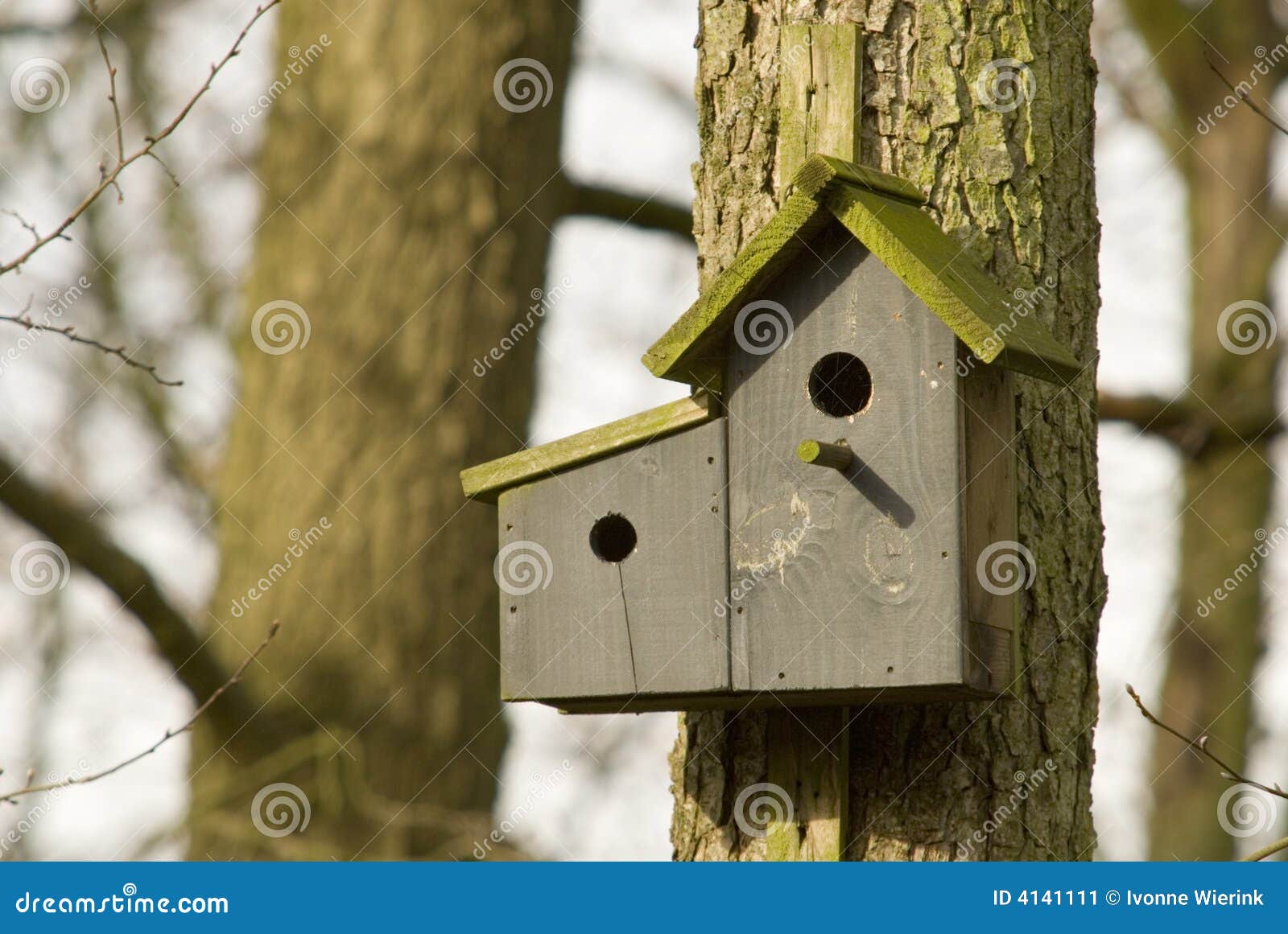 Double birdhouse stock image. Image of house, nest, wooden 4141111