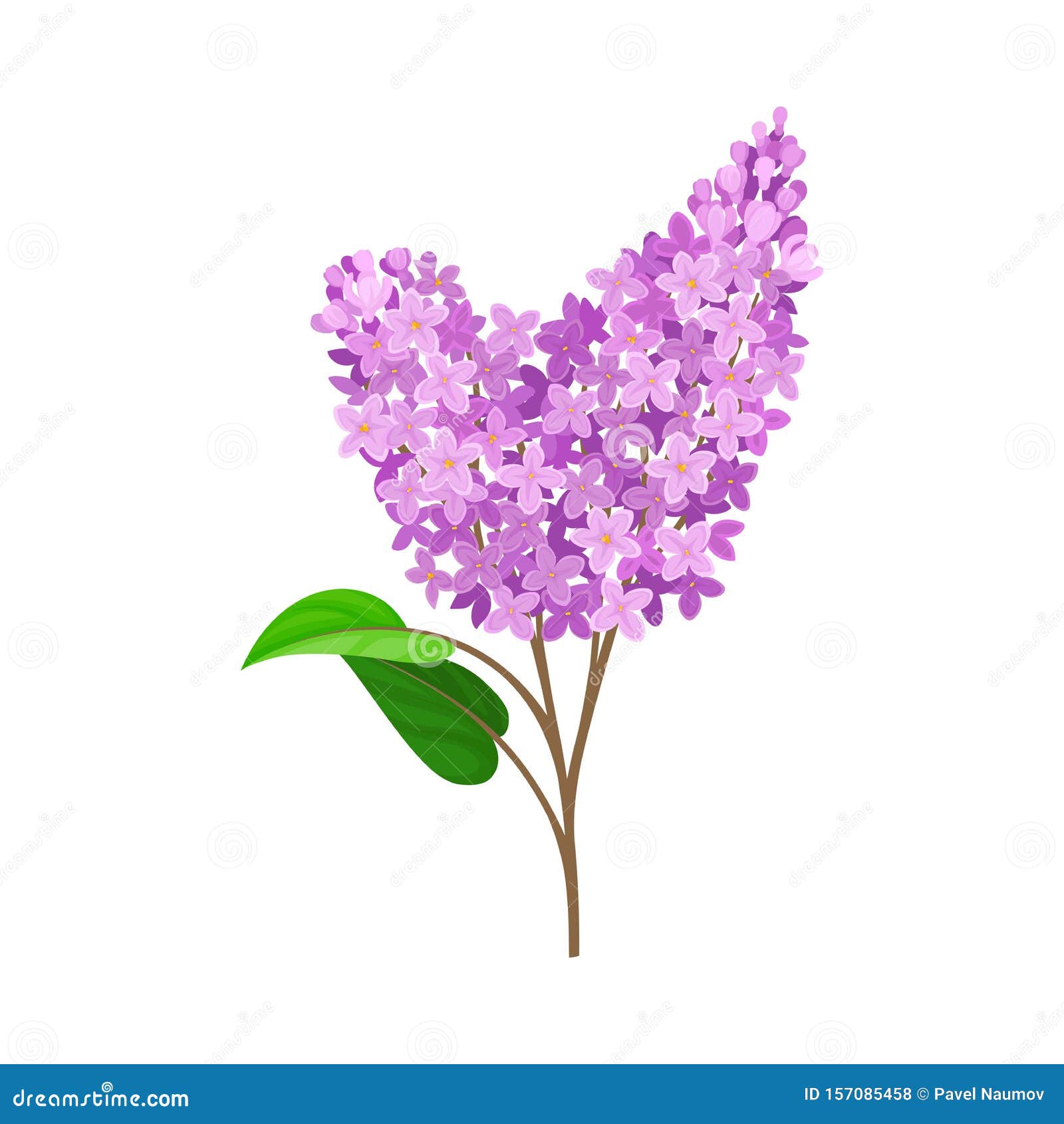 Double Branch of Lilac. Vector Illustration on a White Background ...