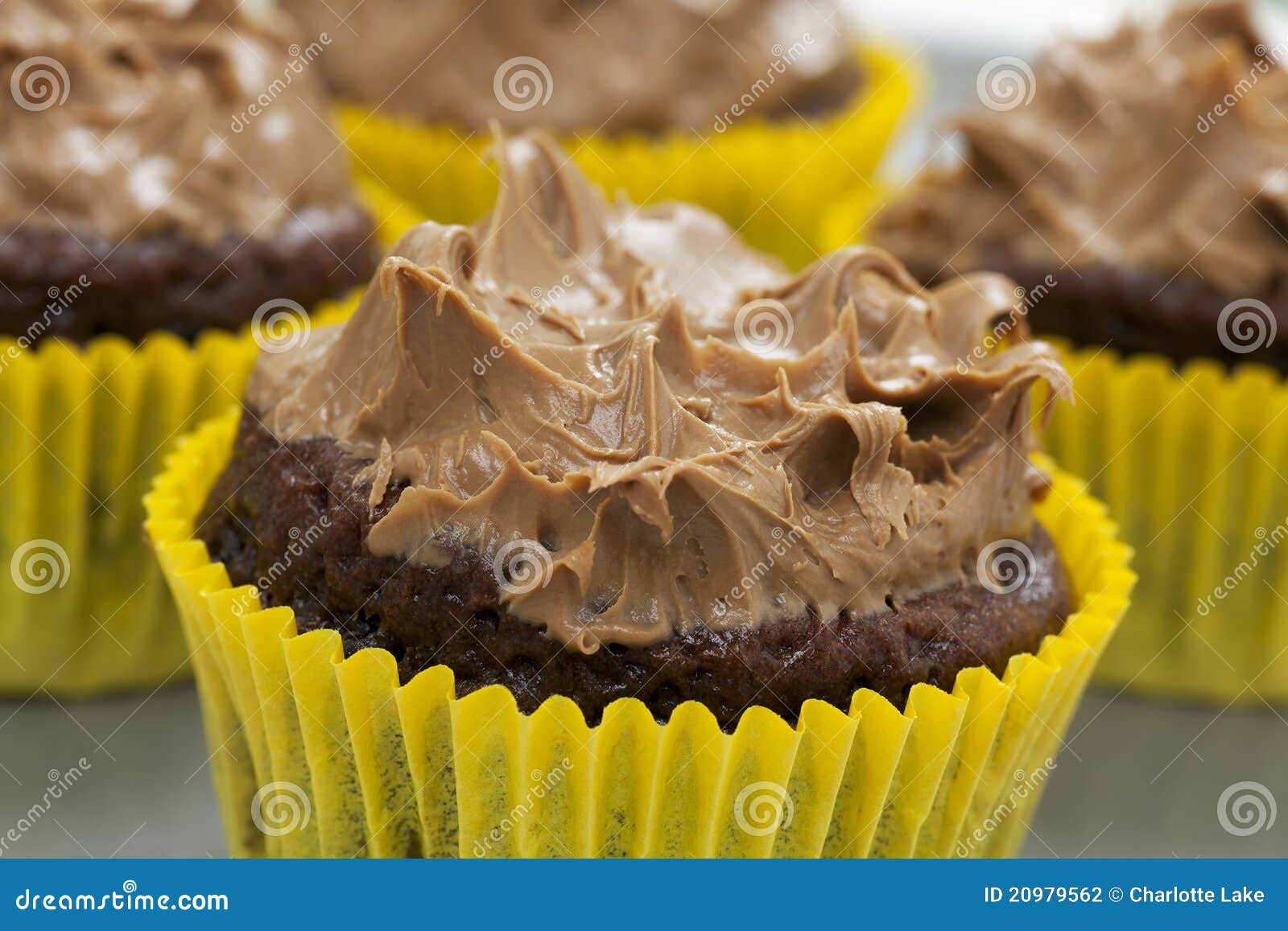 Double Chocolate stock photo. Image of baked, cake, delicious 20979562