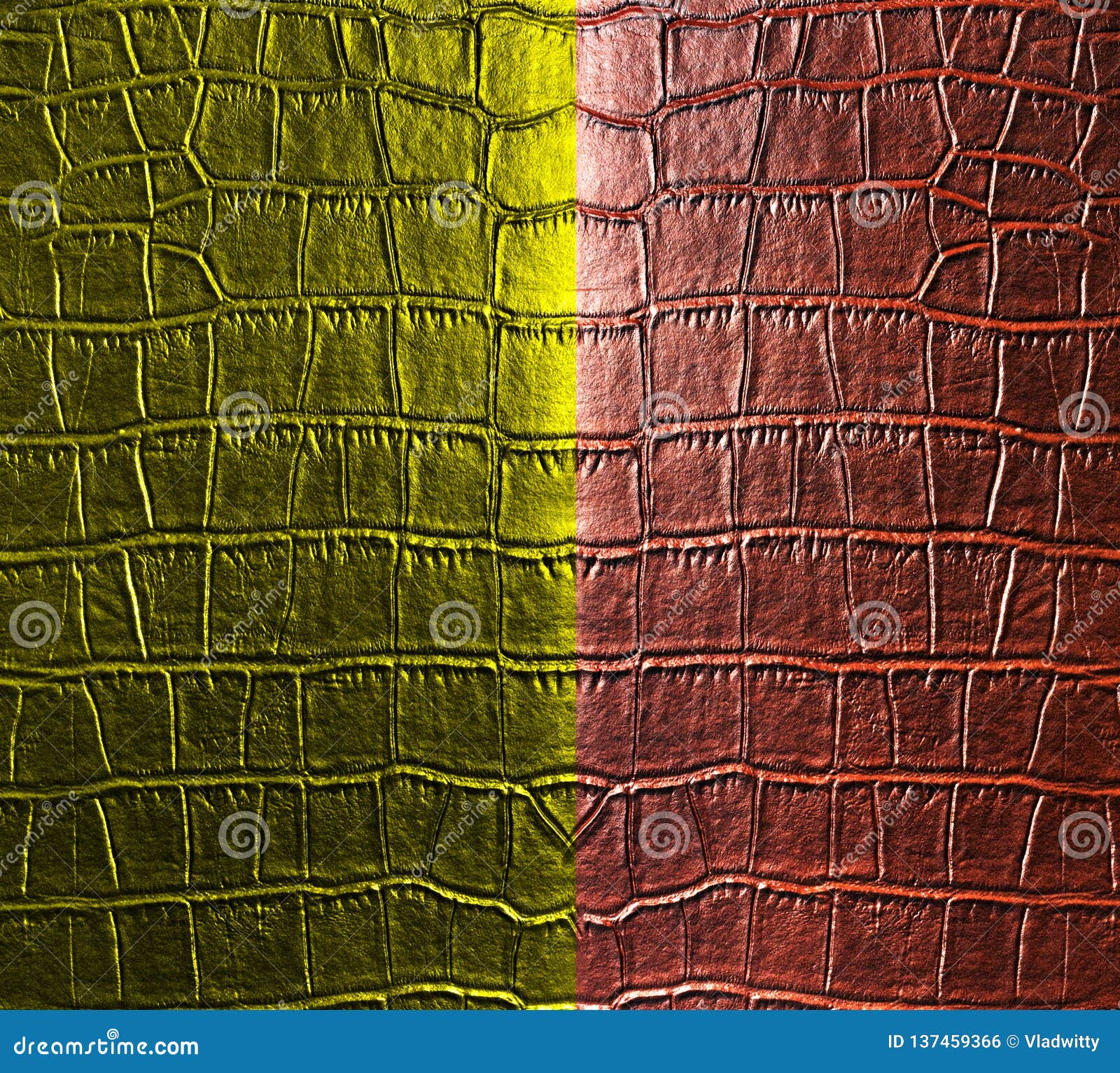 Double Colorful Crocodile Skin Pattern  Stock Photo Image 