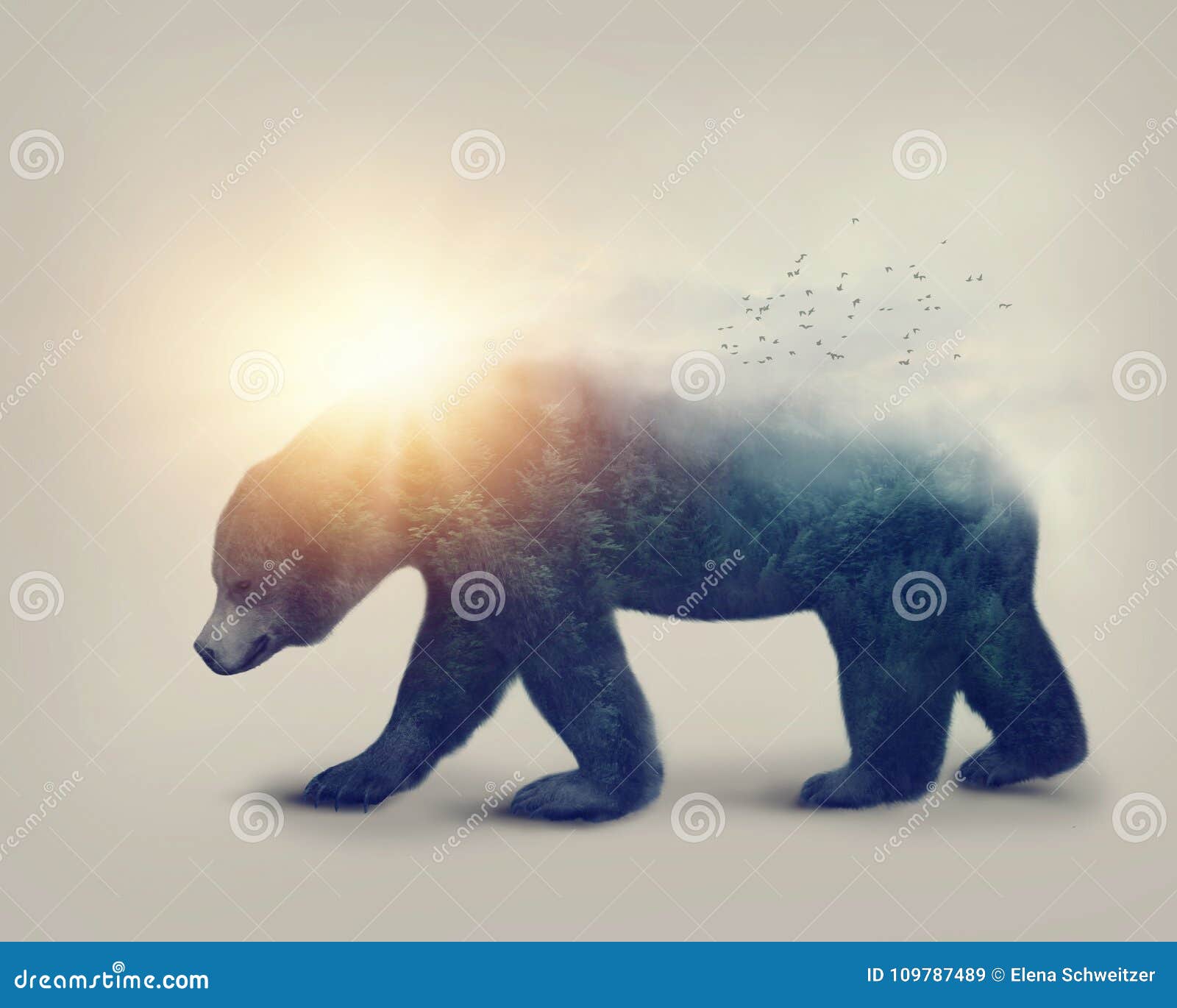 double exposure with a bear