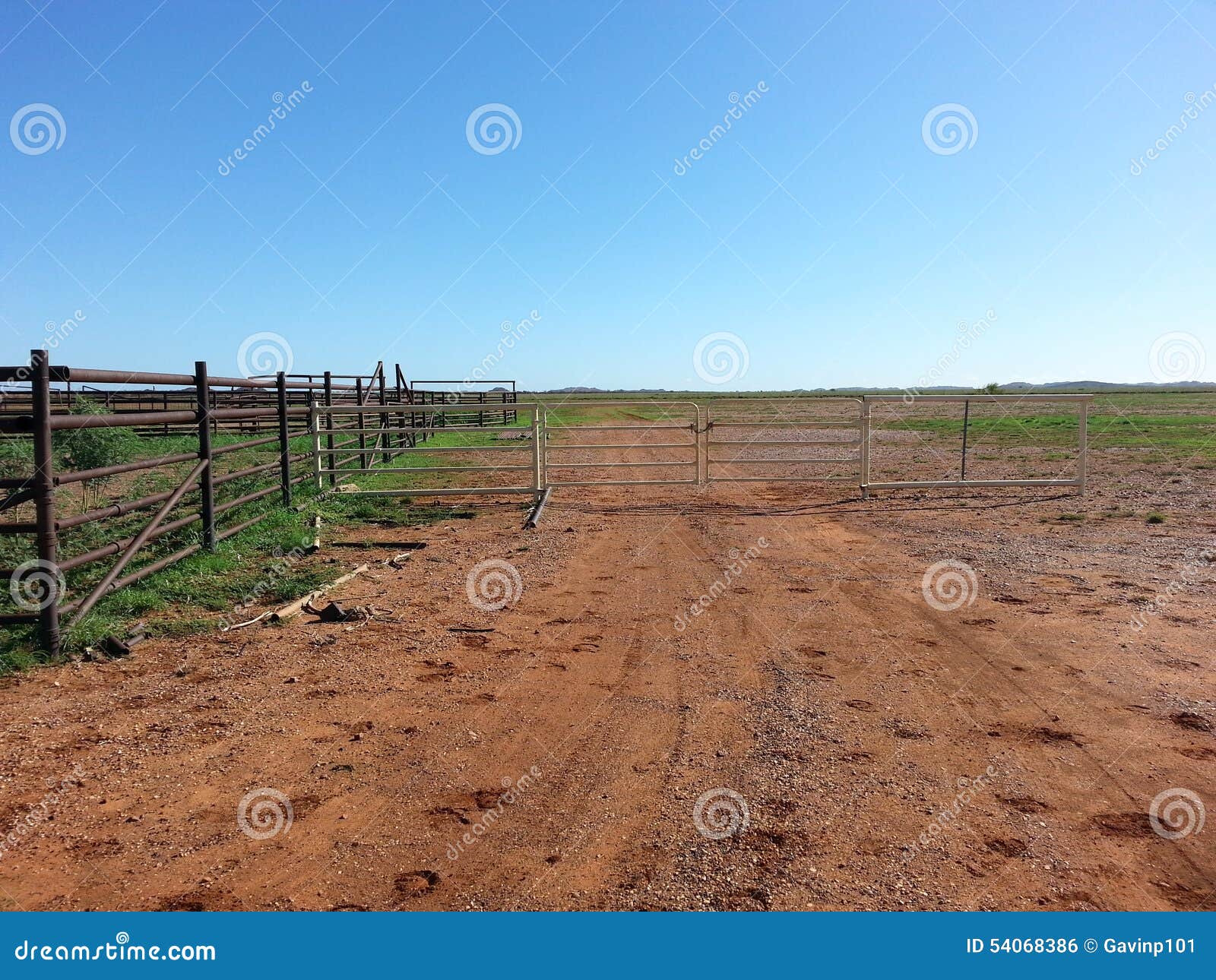 Double Gates and Fence To Stockyard Road Stock Photo Image of paddock