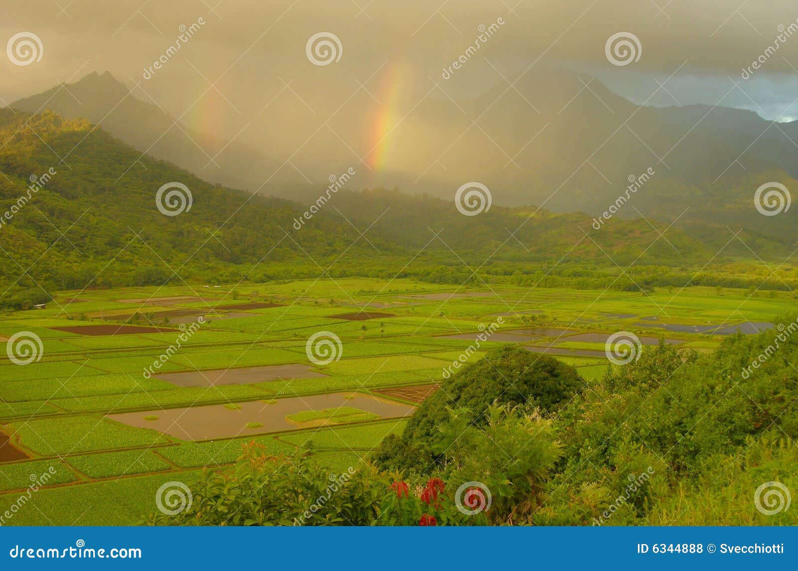 double rainbows, hanalei valley