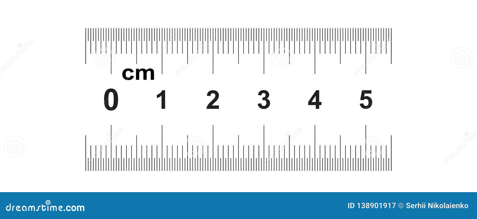 Ruler 5 centimeter. Ruler 50 mm. Value of division 0.5 mm. Precise length  measurement device. Calibration grid. Stock Vector