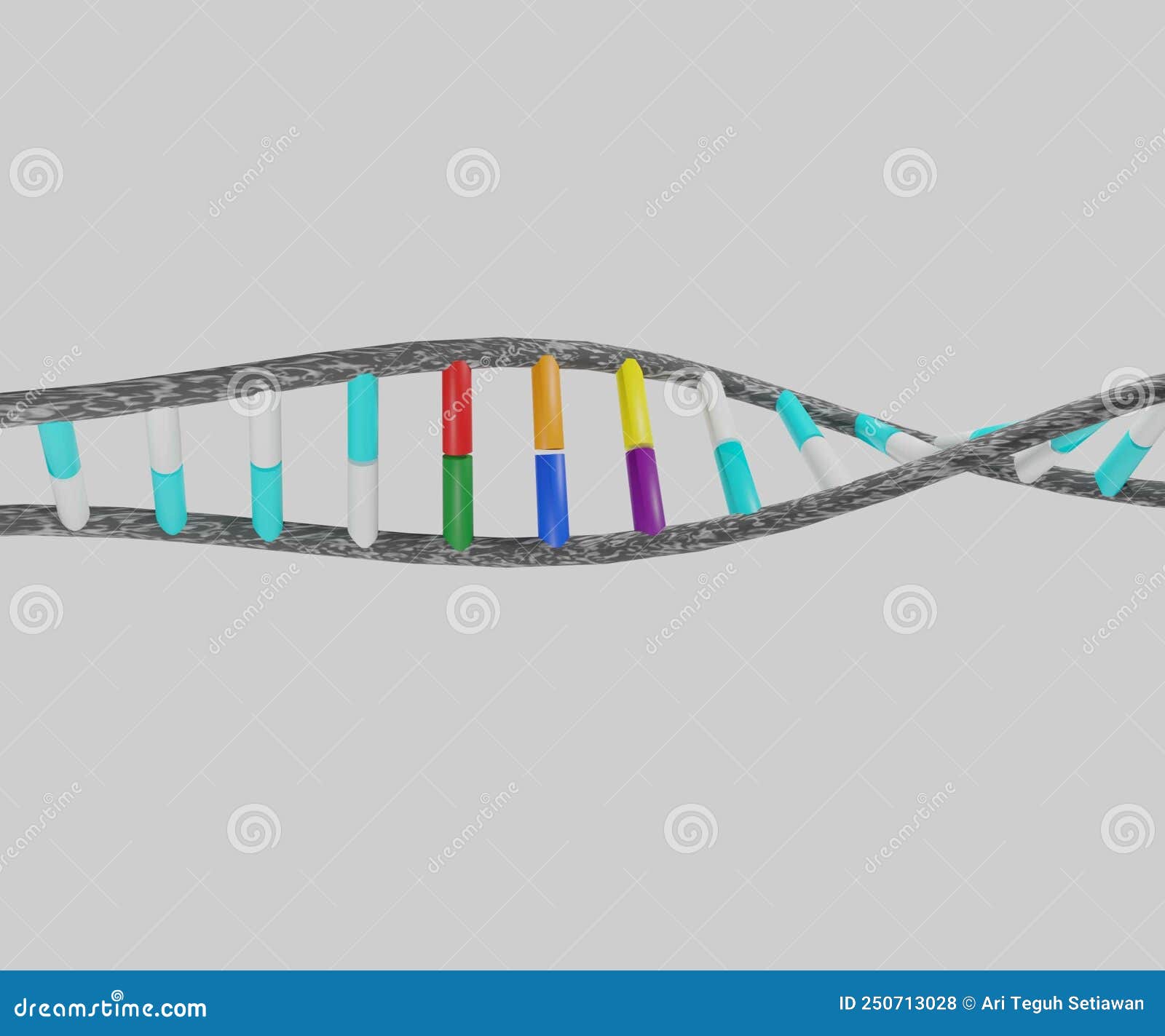 double-stranded dna gay genetic development of human sexual orientation