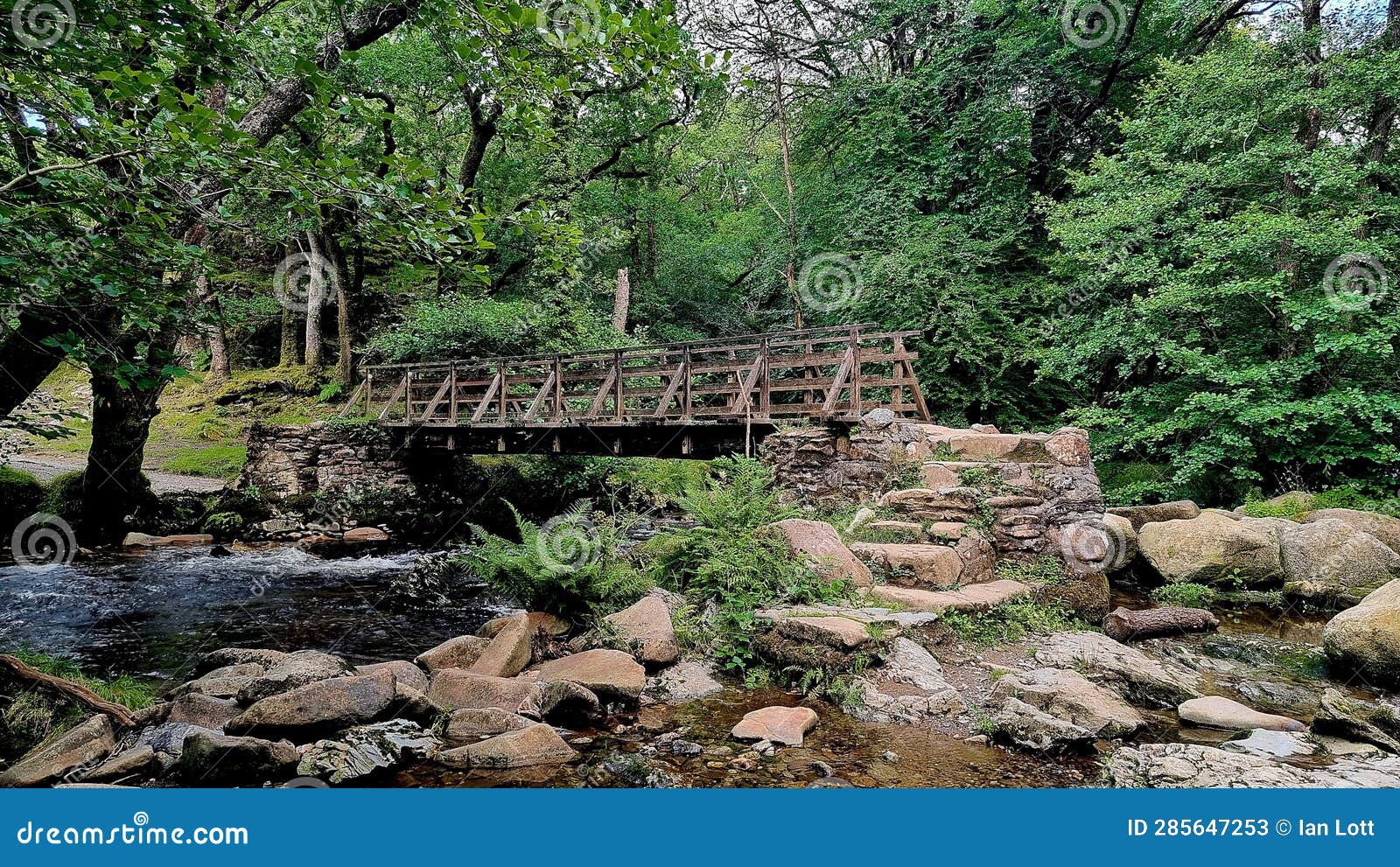 double waters, river tavy , dartmoor-national-park devon uk