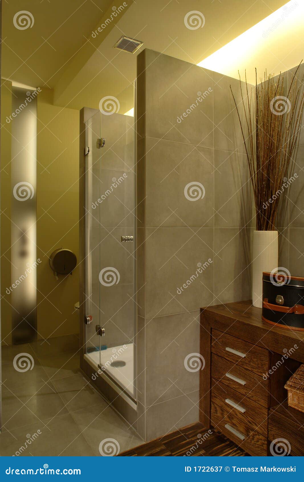 Douche De Luxe De Salle De Bains D'appartement Image stock Image du